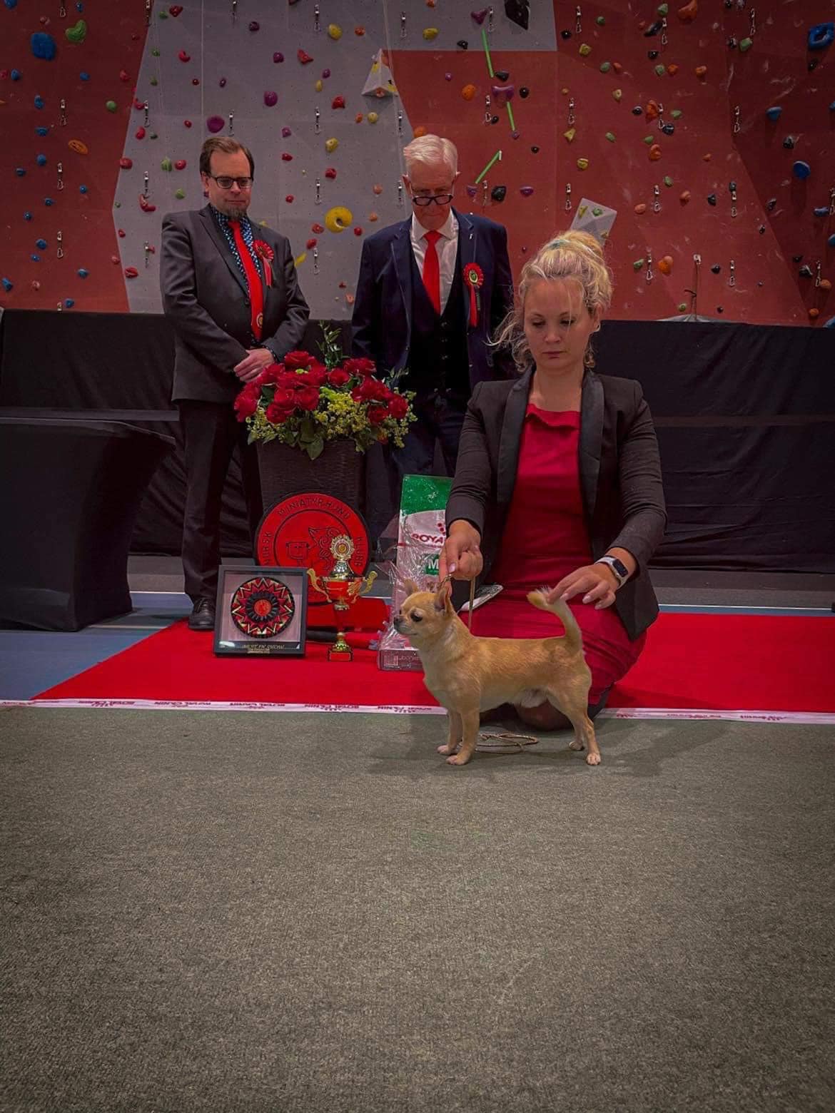 Li-Depui General Liam Li-Depui General Liam