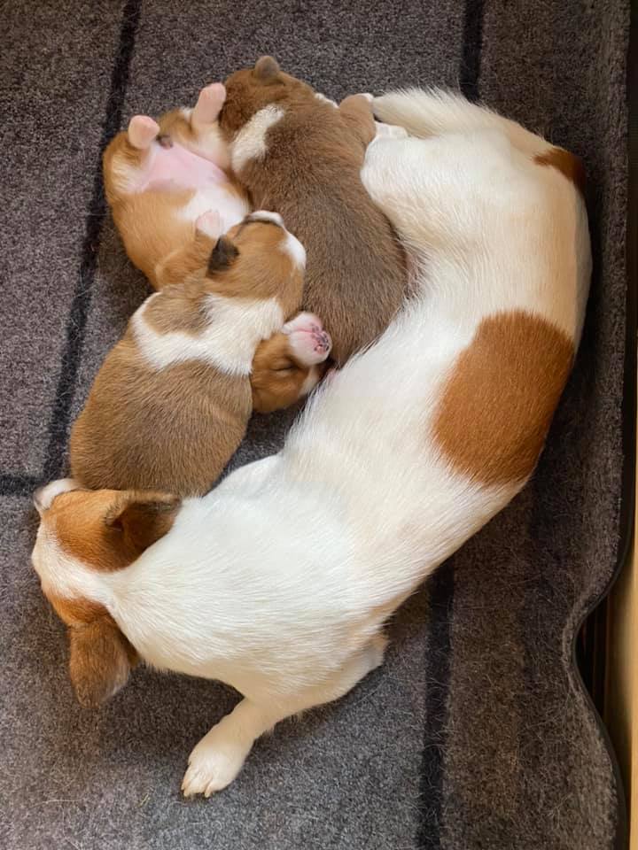 Mioamor's Love Of My Life Mioamor's Love Of My Life