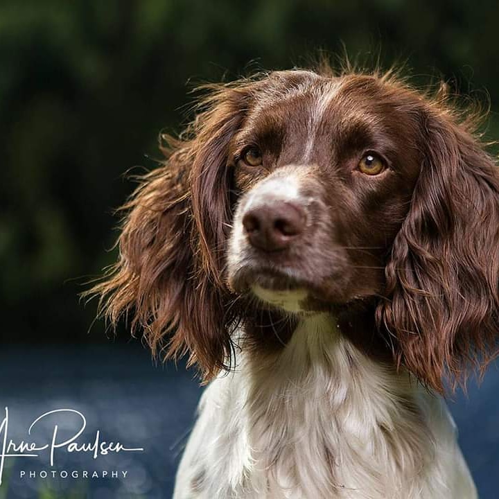 Fantins Gran Giro Fantins Gran Giro