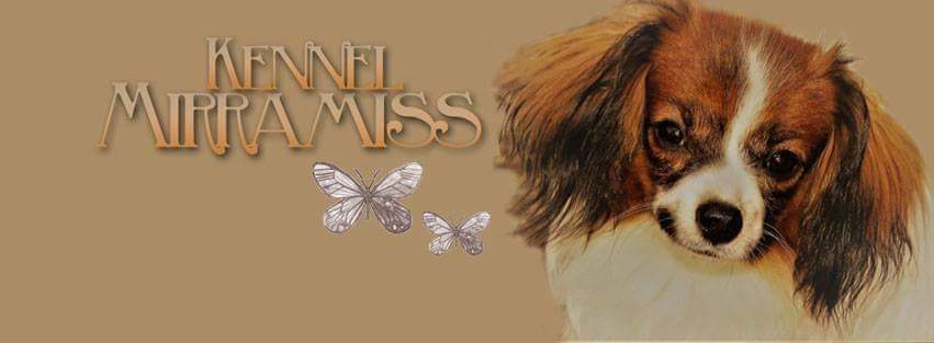 Kennel Mirramiss 