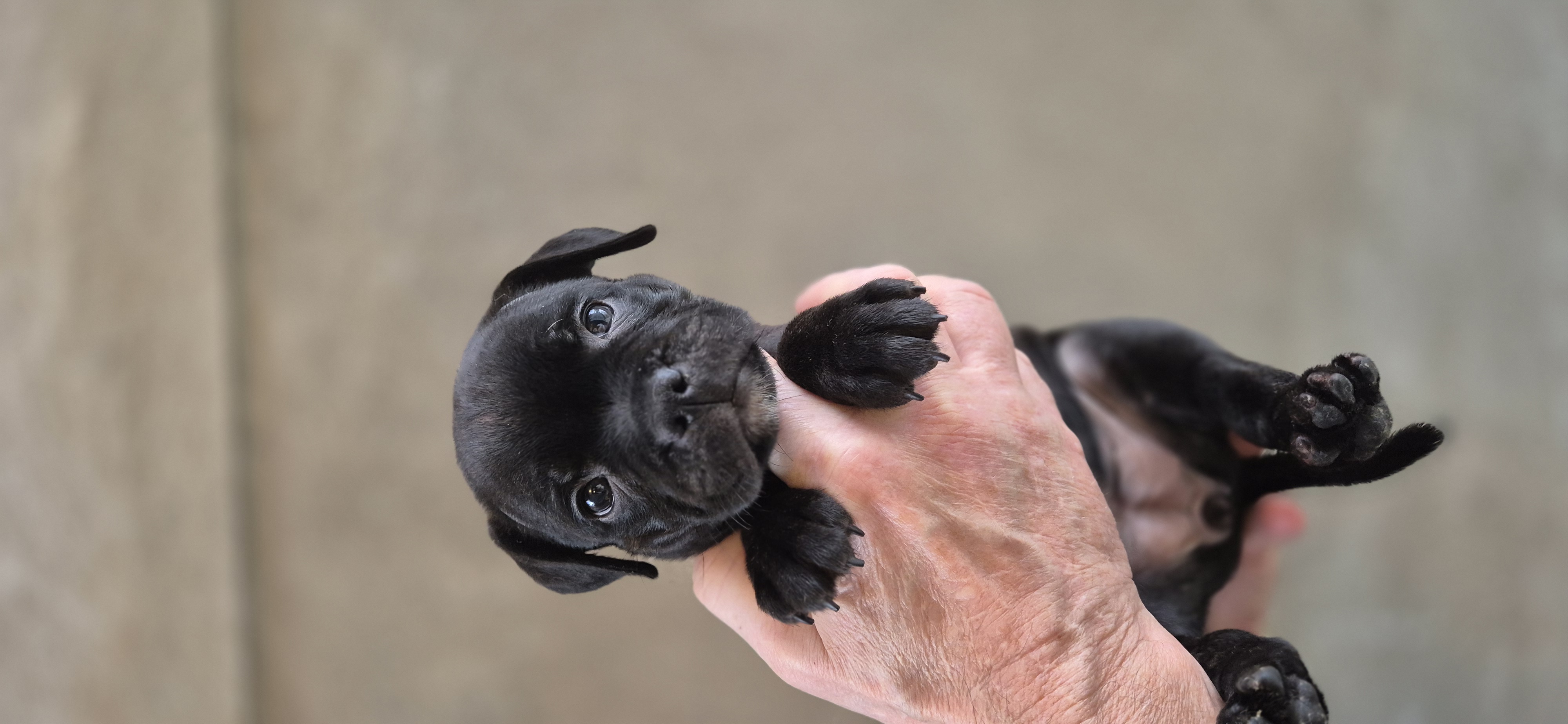 Nightstaff Nightstaff