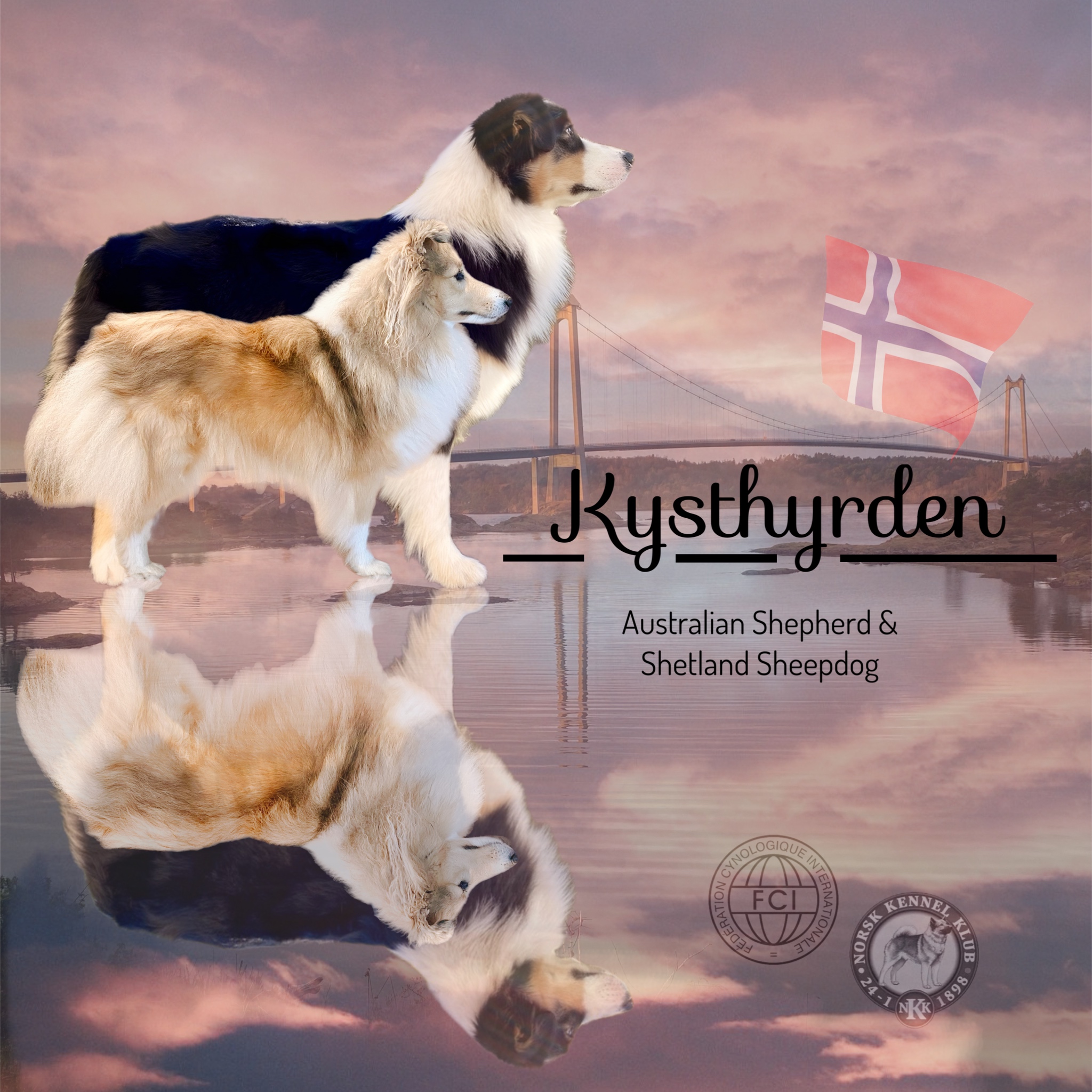 Sandy Haugland Sandy Haugland