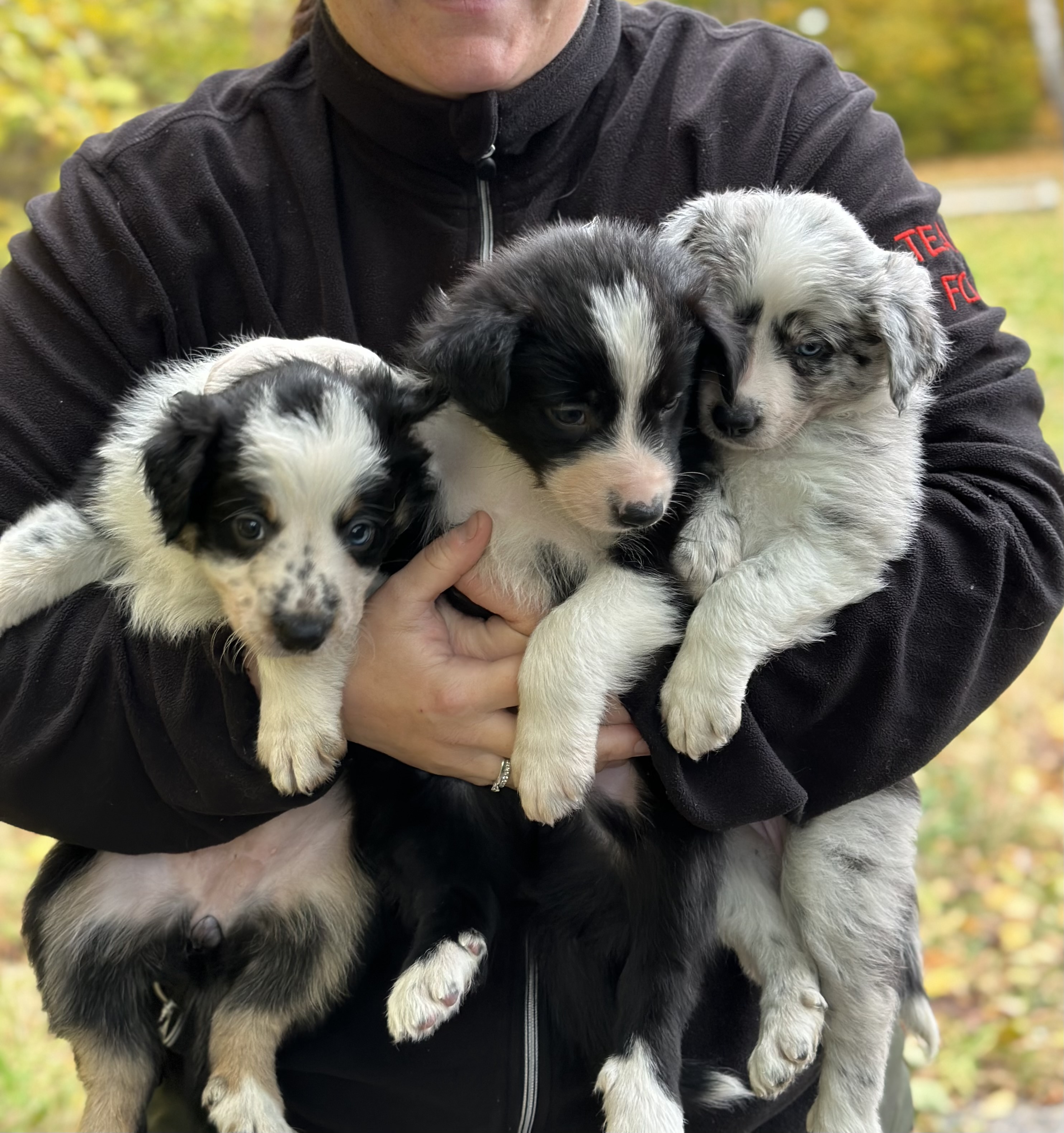 Jeanette Johnsen-Næss Jeanette Johnsen-Næss