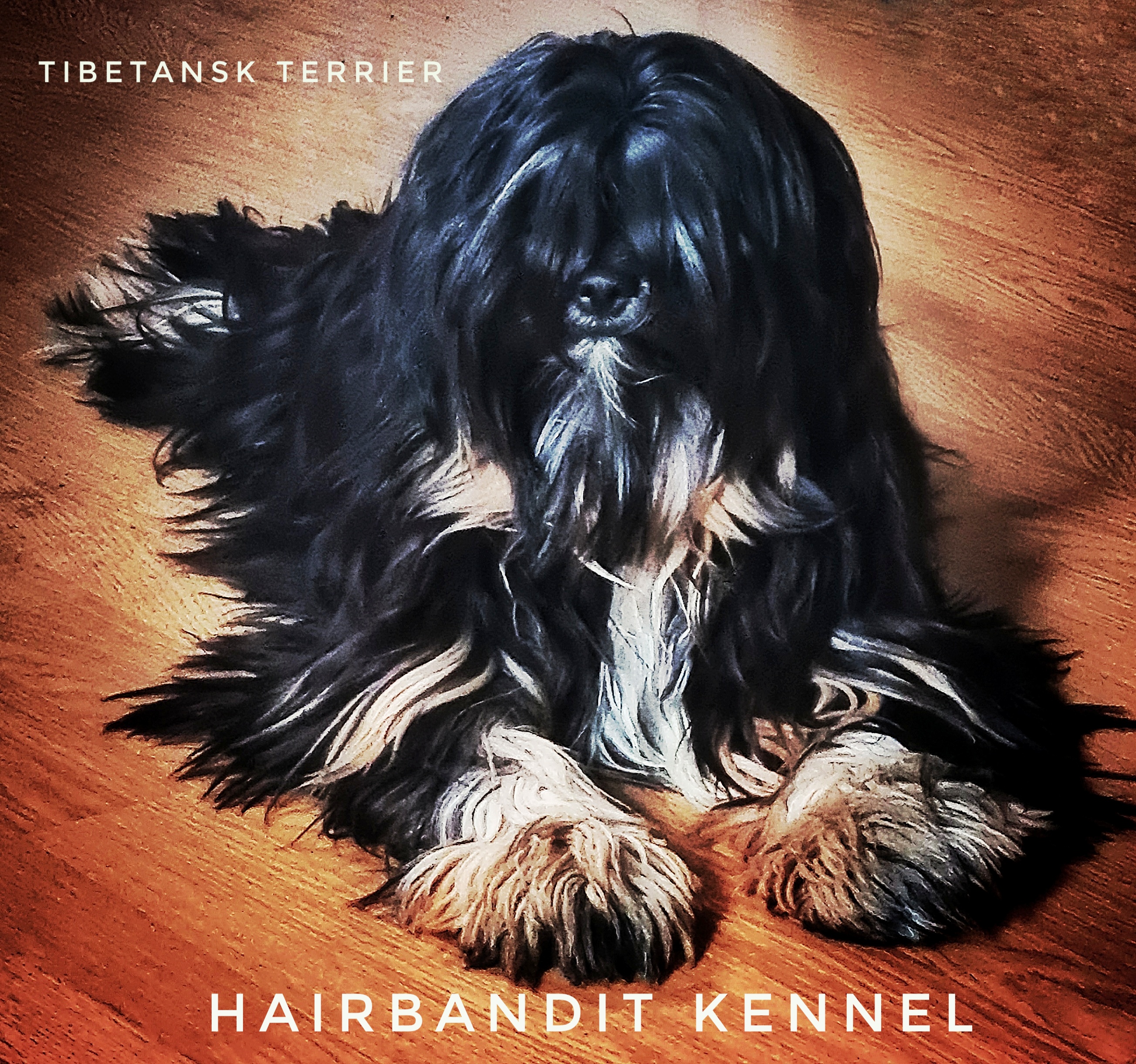 Hairbandit Kennel Hairbandit Kennel