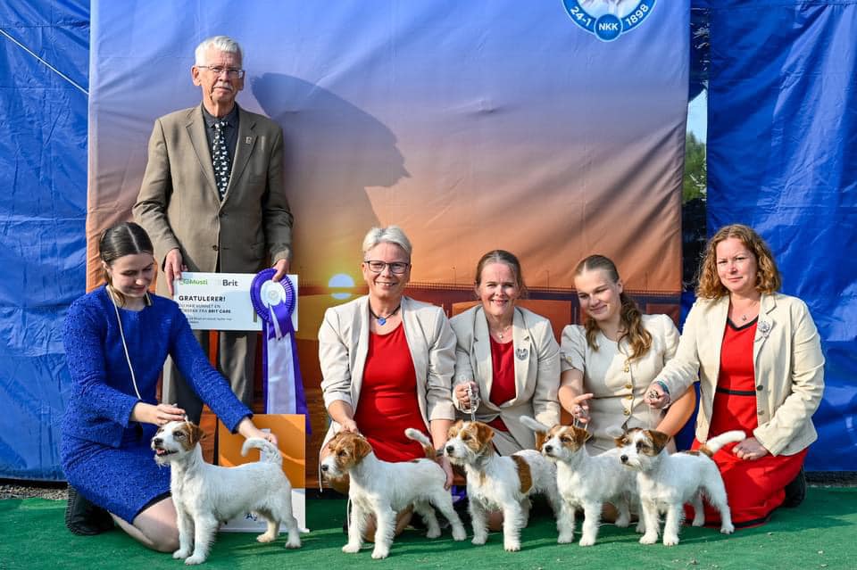 Kennel Kawamo Kennel Kawamo