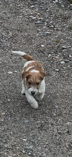 Isnesgårdens Qualitychecked