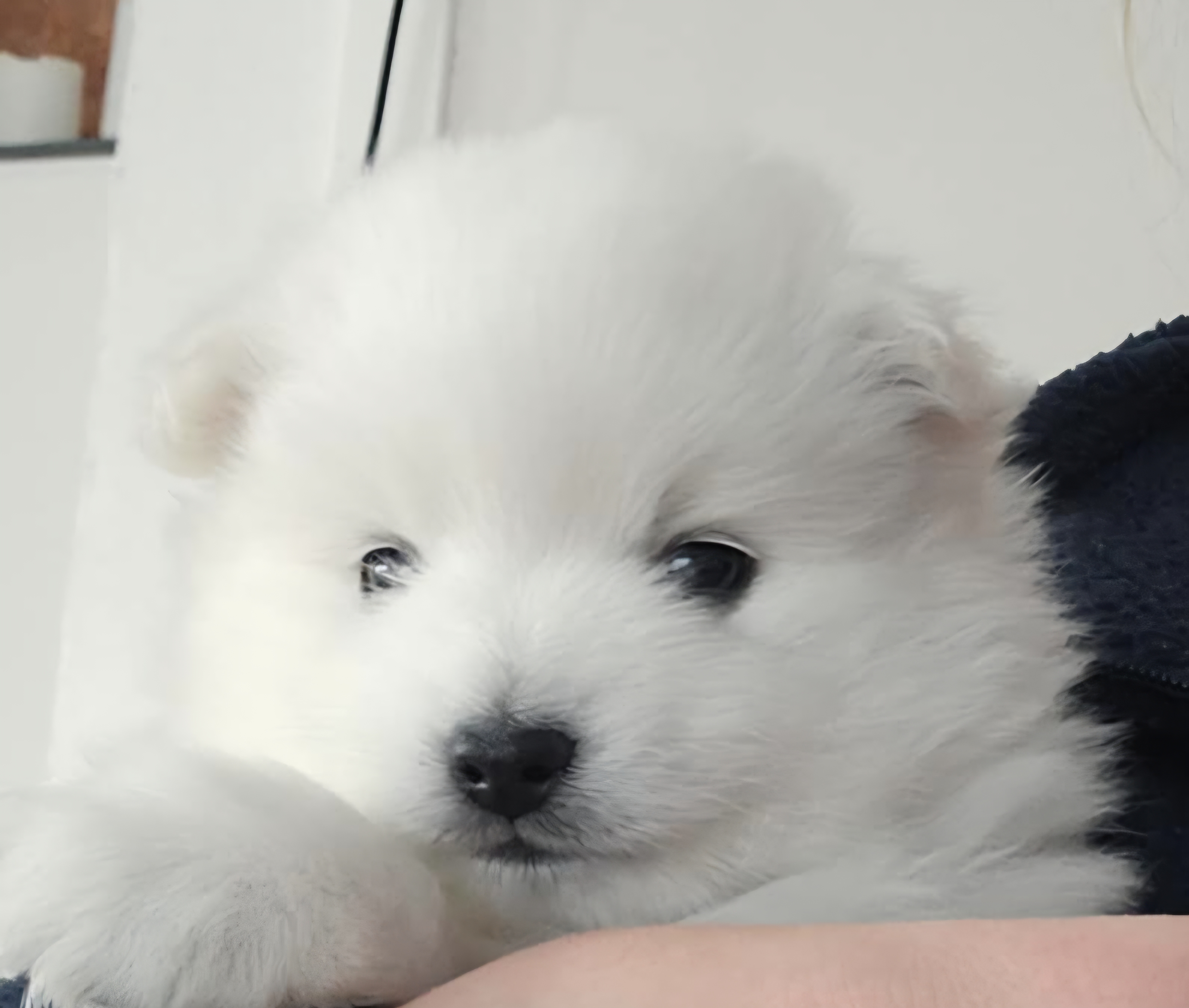 Jorun Roaldset Jorun Roaldset