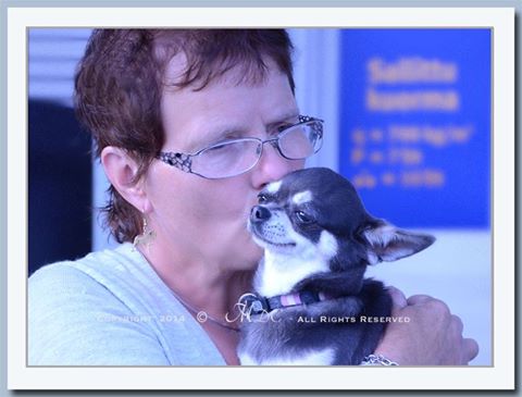 Britt Marit Halvorsen Britt Marit Halvorsen