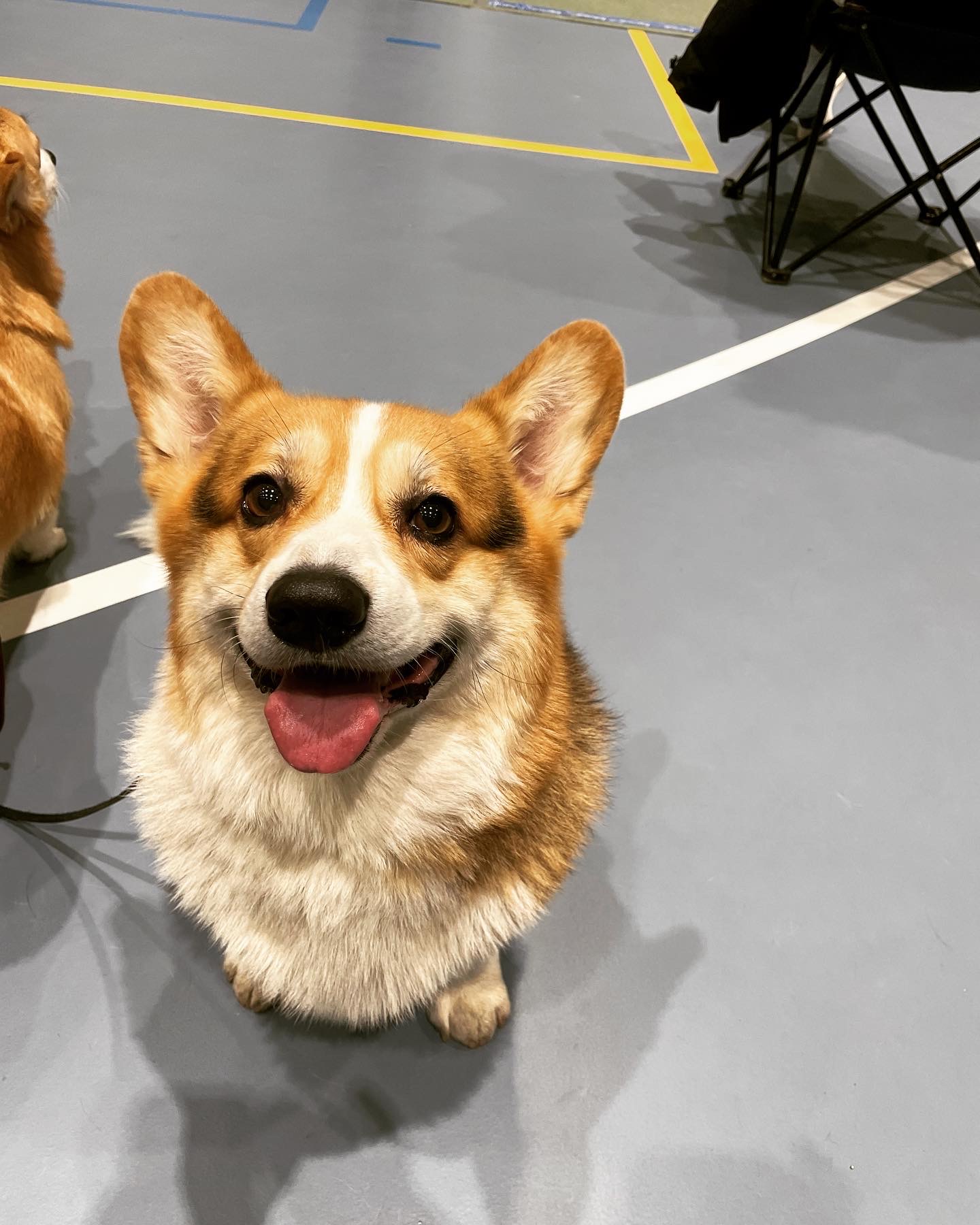 Bytham Guinnes Bytham Guinnes