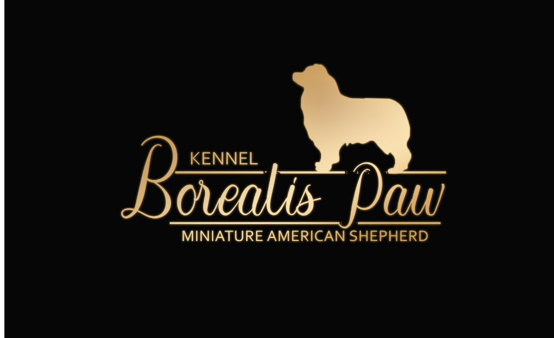 Borealis Paw Borealis Paw