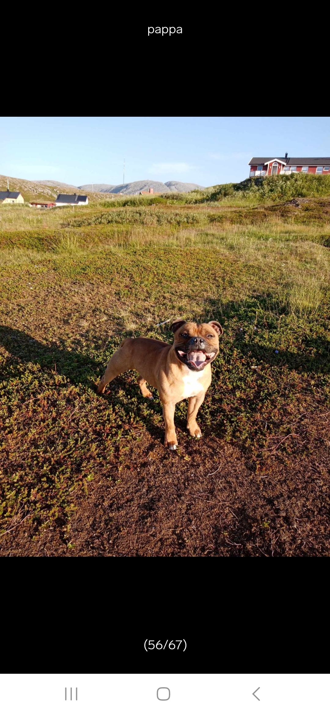 Donald Trump Admiral Staff 