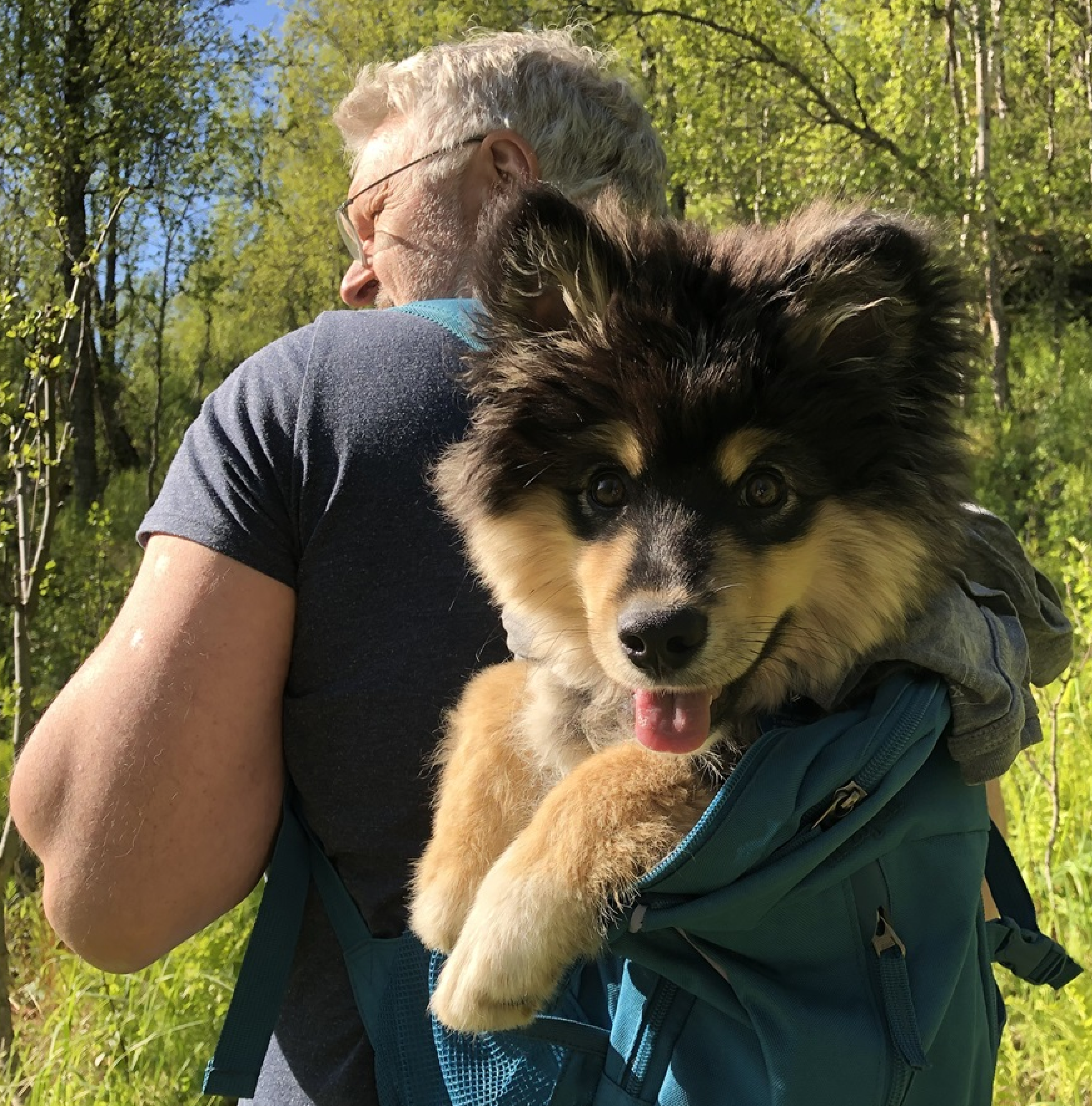 Dynamic image Dynamic image