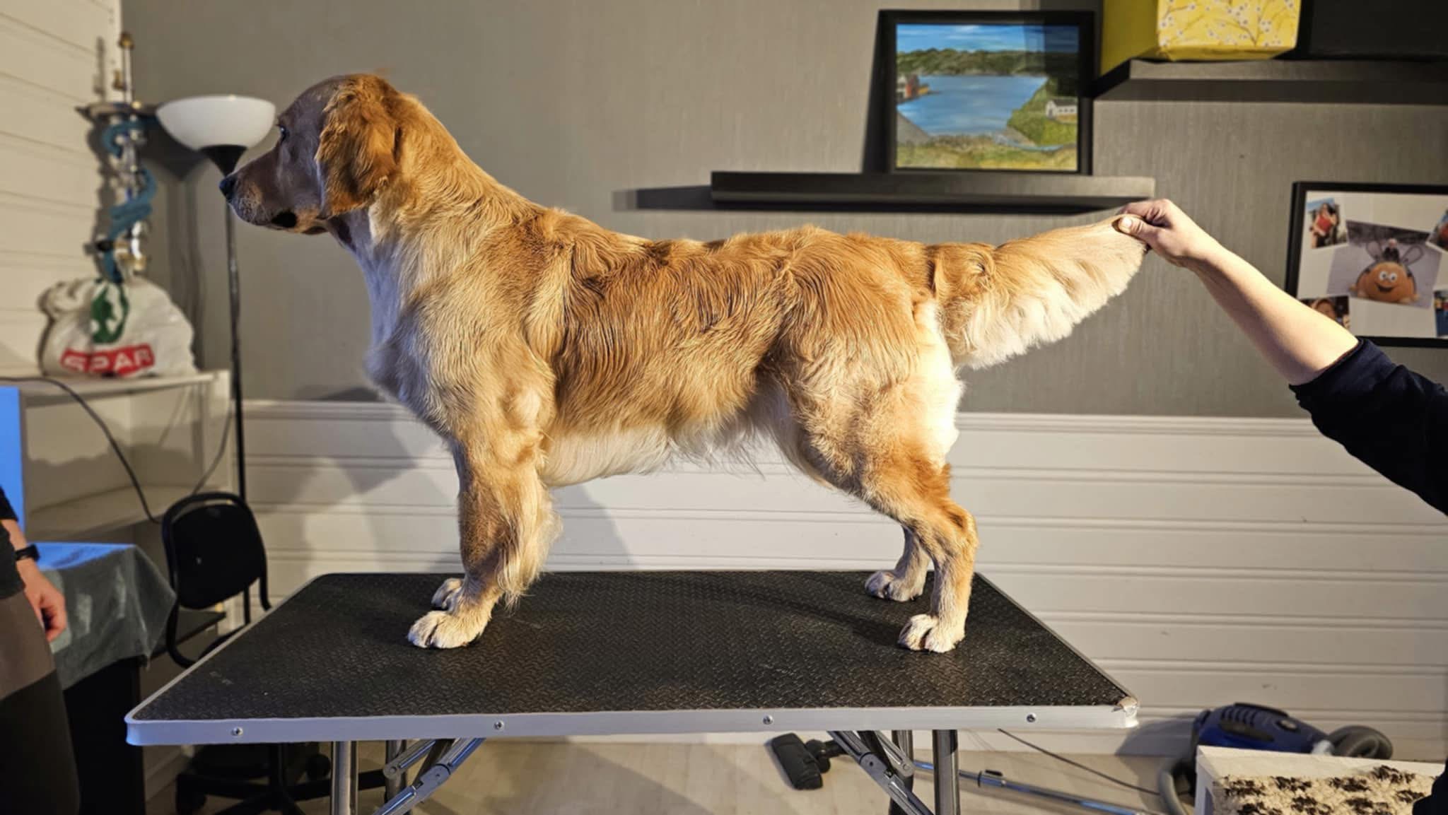 Q - Kullet Q - Kullet