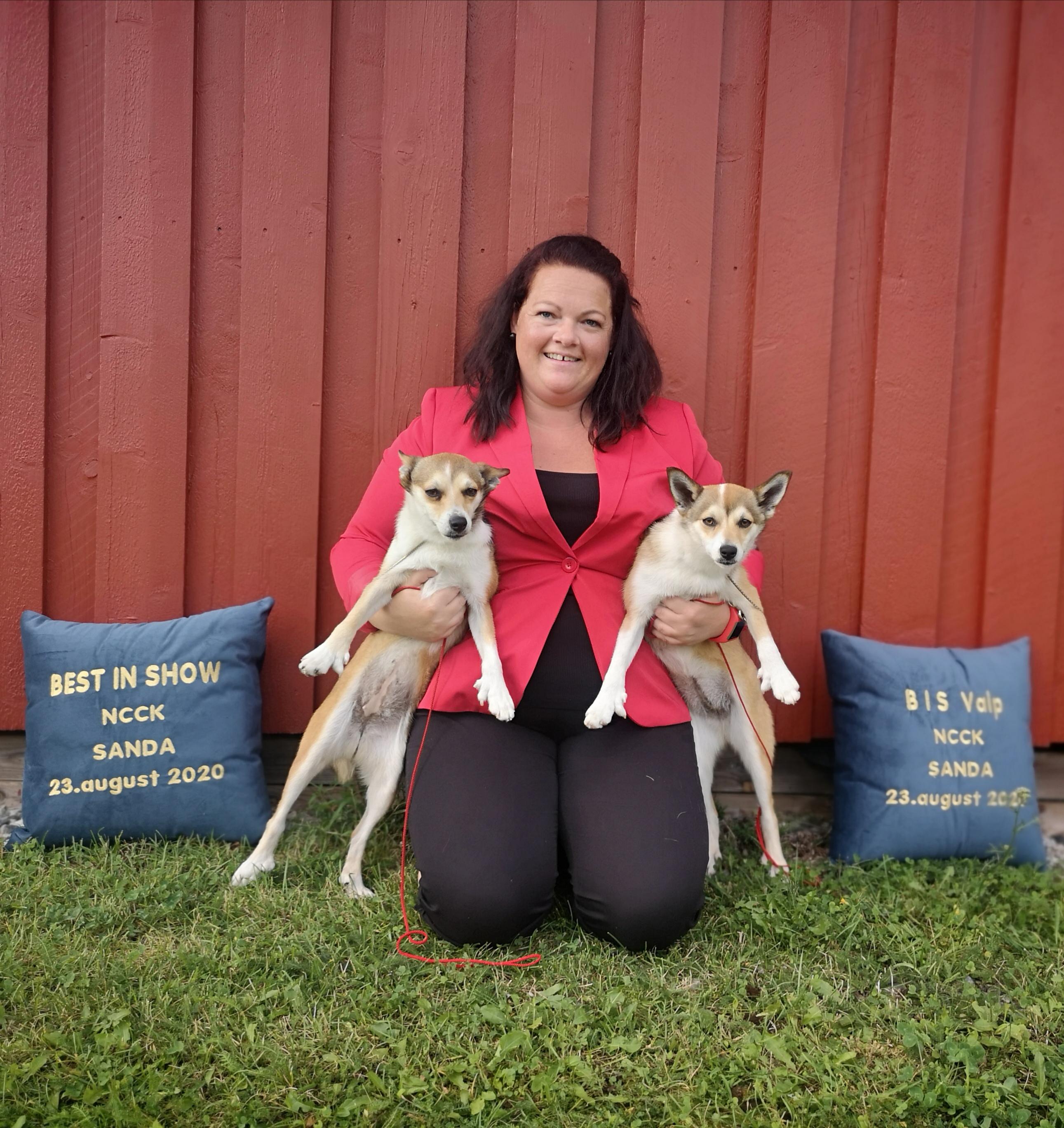 Dynamic image Dynamic image