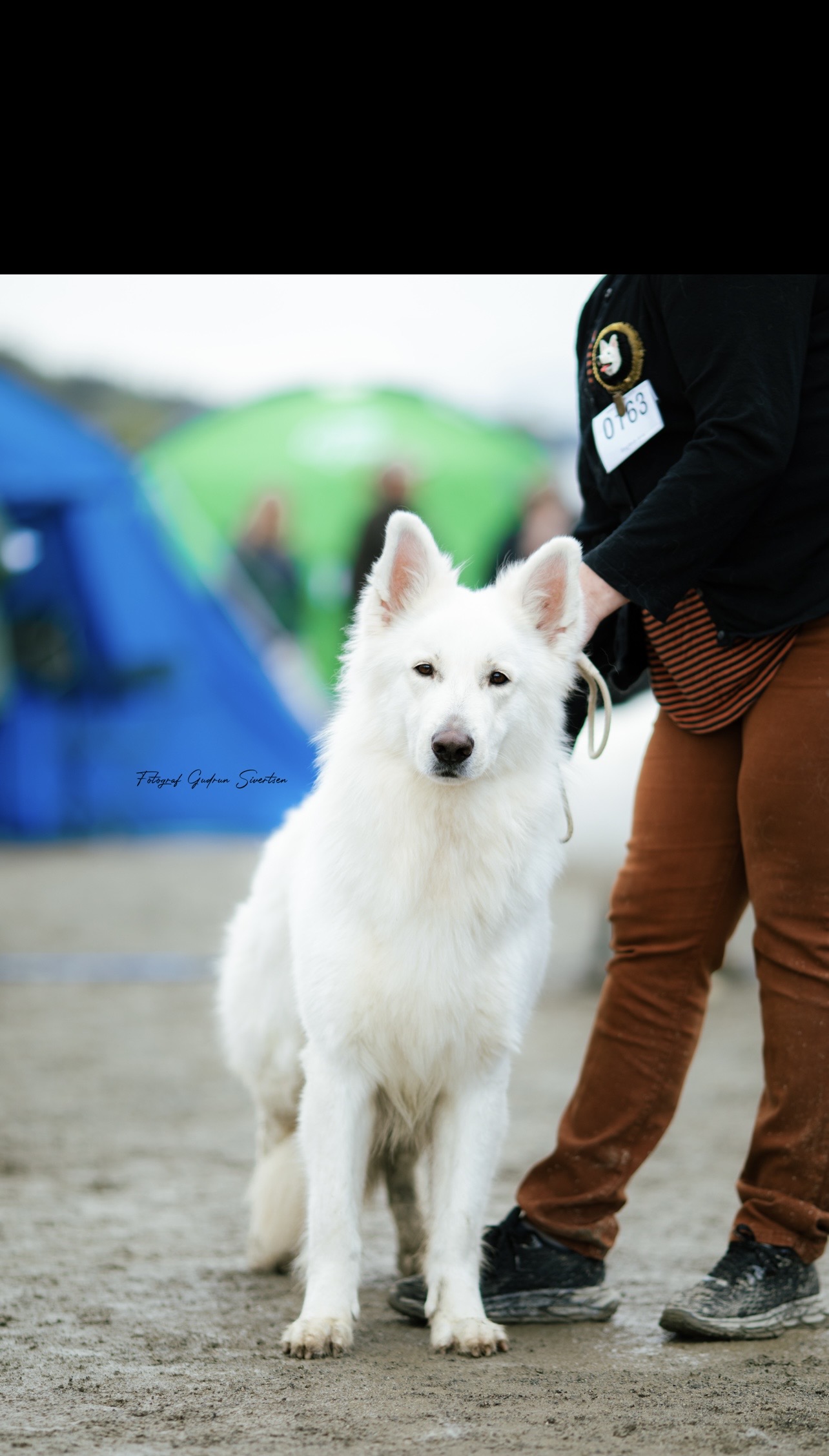 Fenrik av White Rewyr