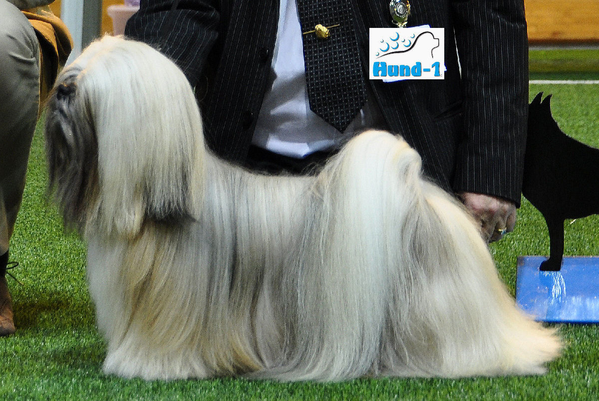 Panaphia's Magic Man Panaphia's Magic Man