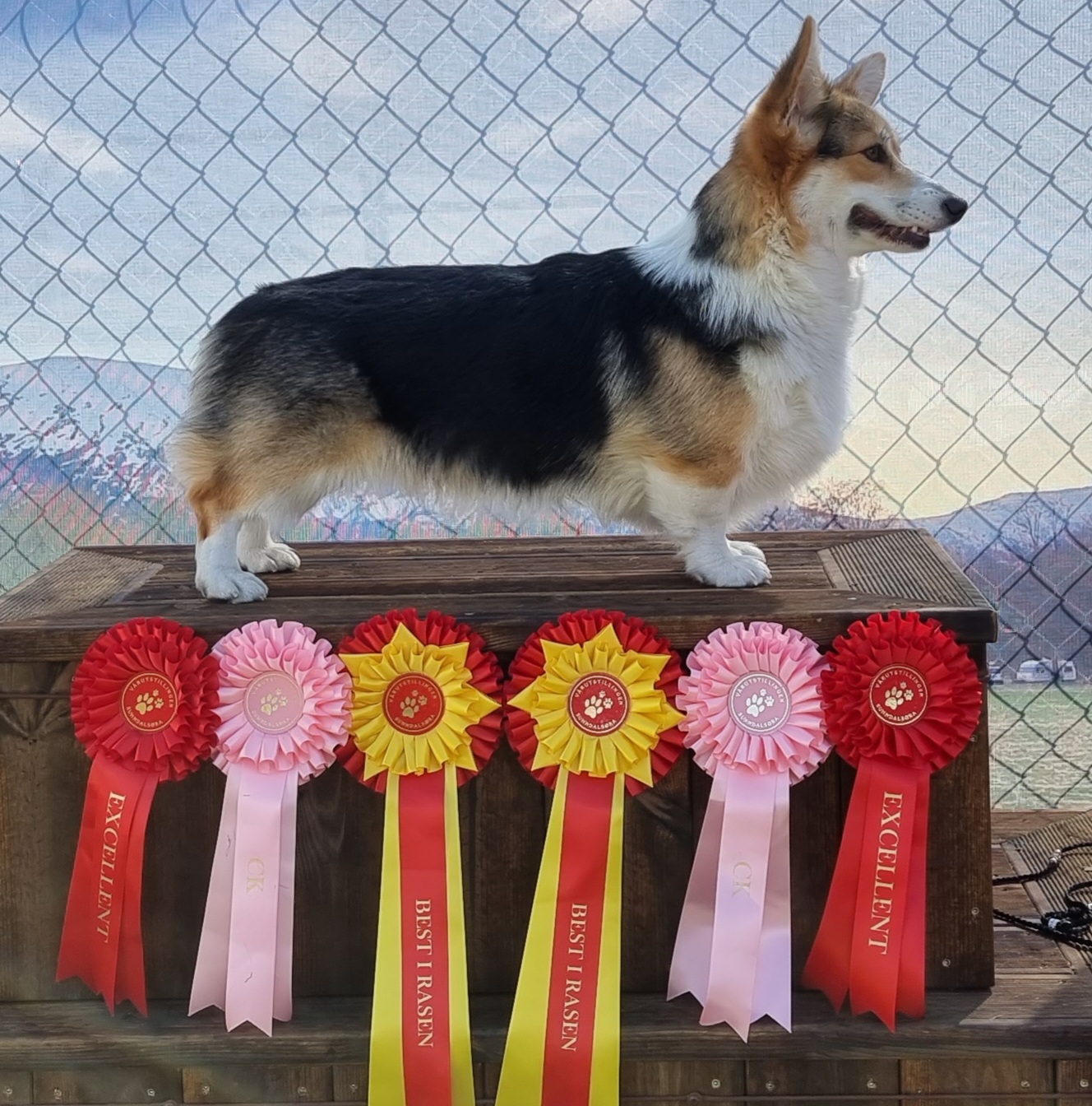 Born To Be Your Artwork Born To Be Your Artwork