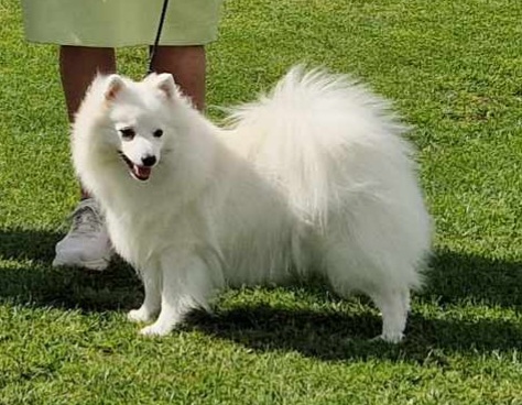 Ereganto's Iron Woman Ereganto's Iron Woman