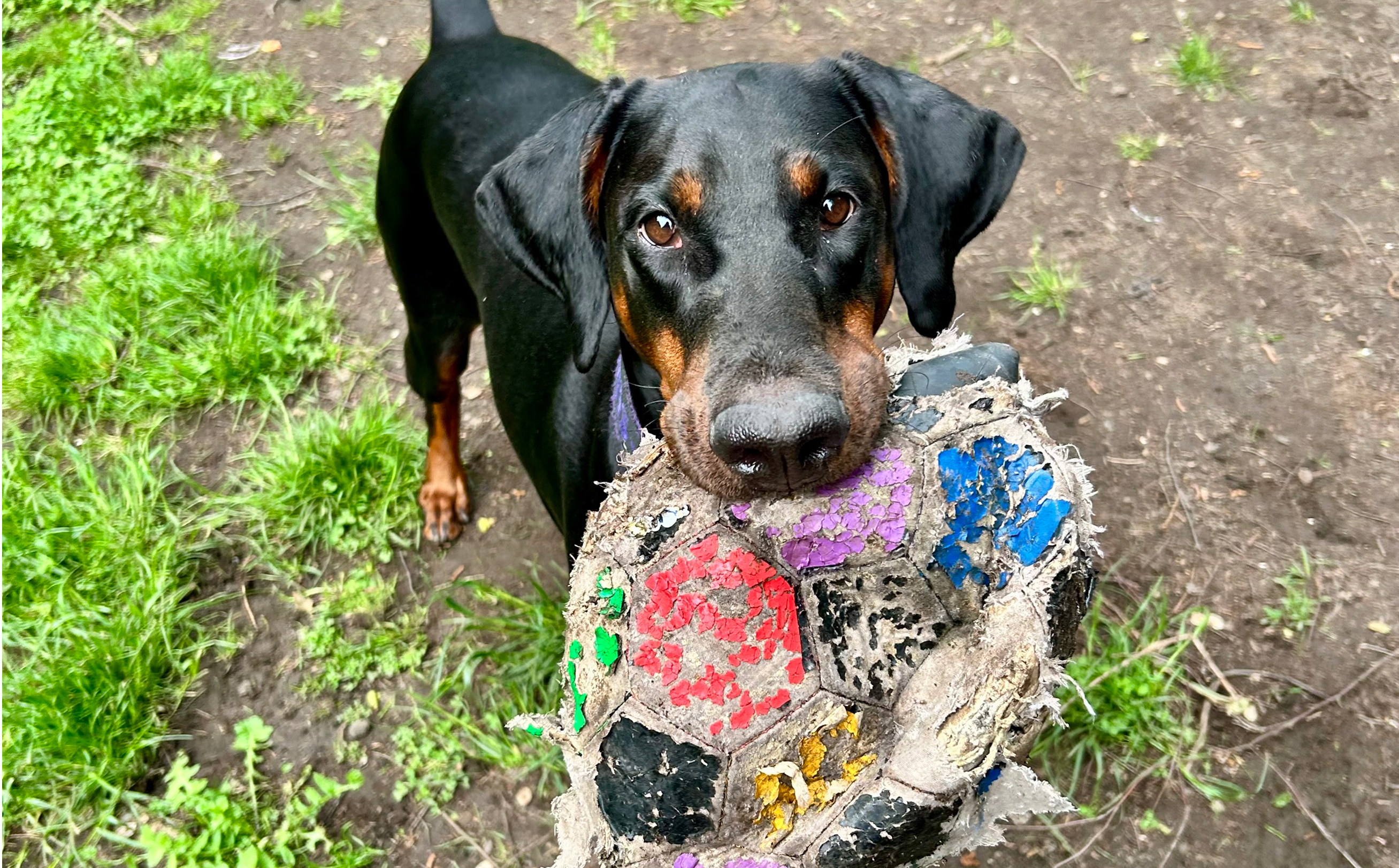 Dynamic image Dynamic image