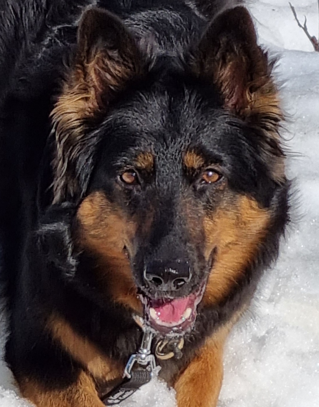 Åse Kari Bohlin Åse Kari Bohlin