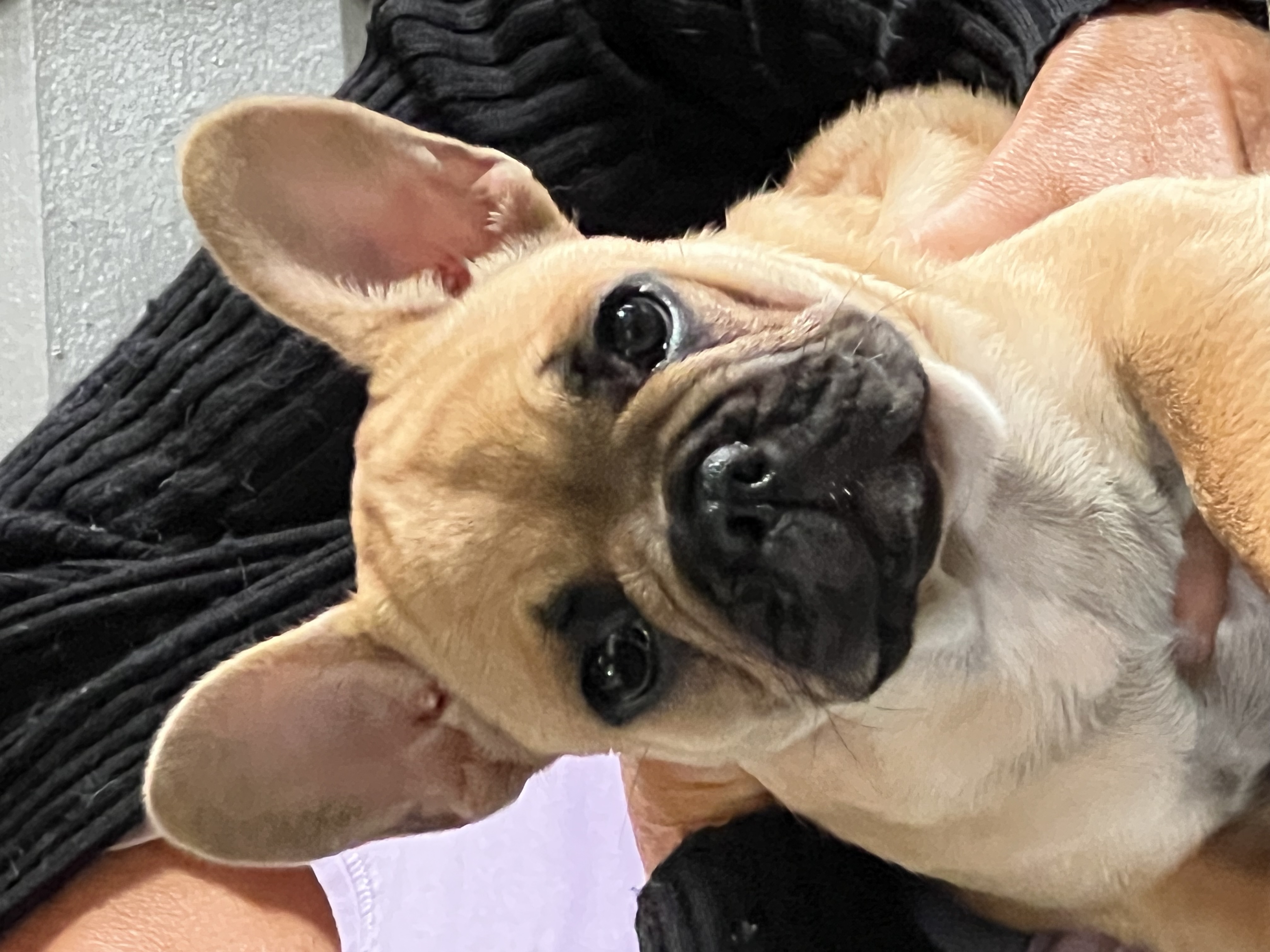 Carina Martinsen Carina Martinsen