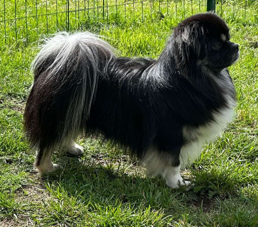 Yotisha's ferdinan Yotisha's ferdinan