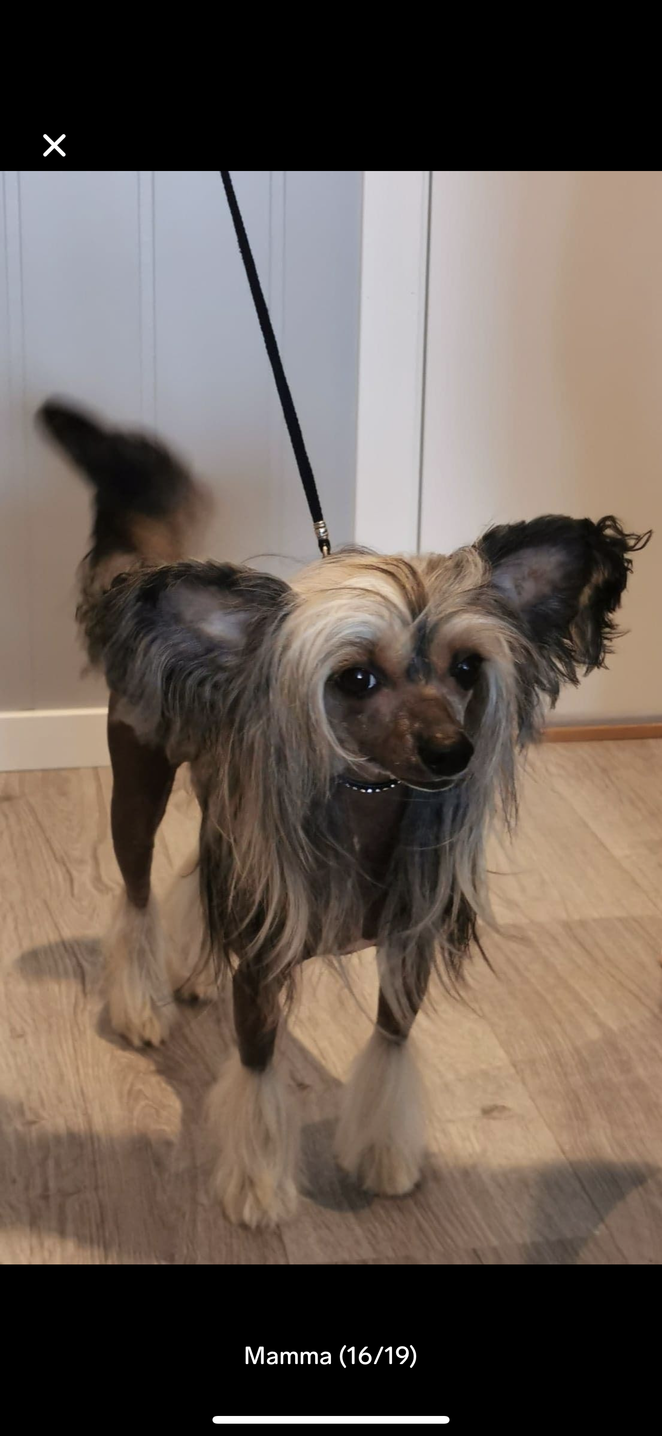 Leonie Lustig Made og Frabies Beauties Leonie Lustig Made og Frabies Beauties