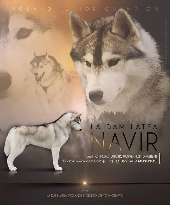 La-Dam Latea Navir La-Dam Latea Navir