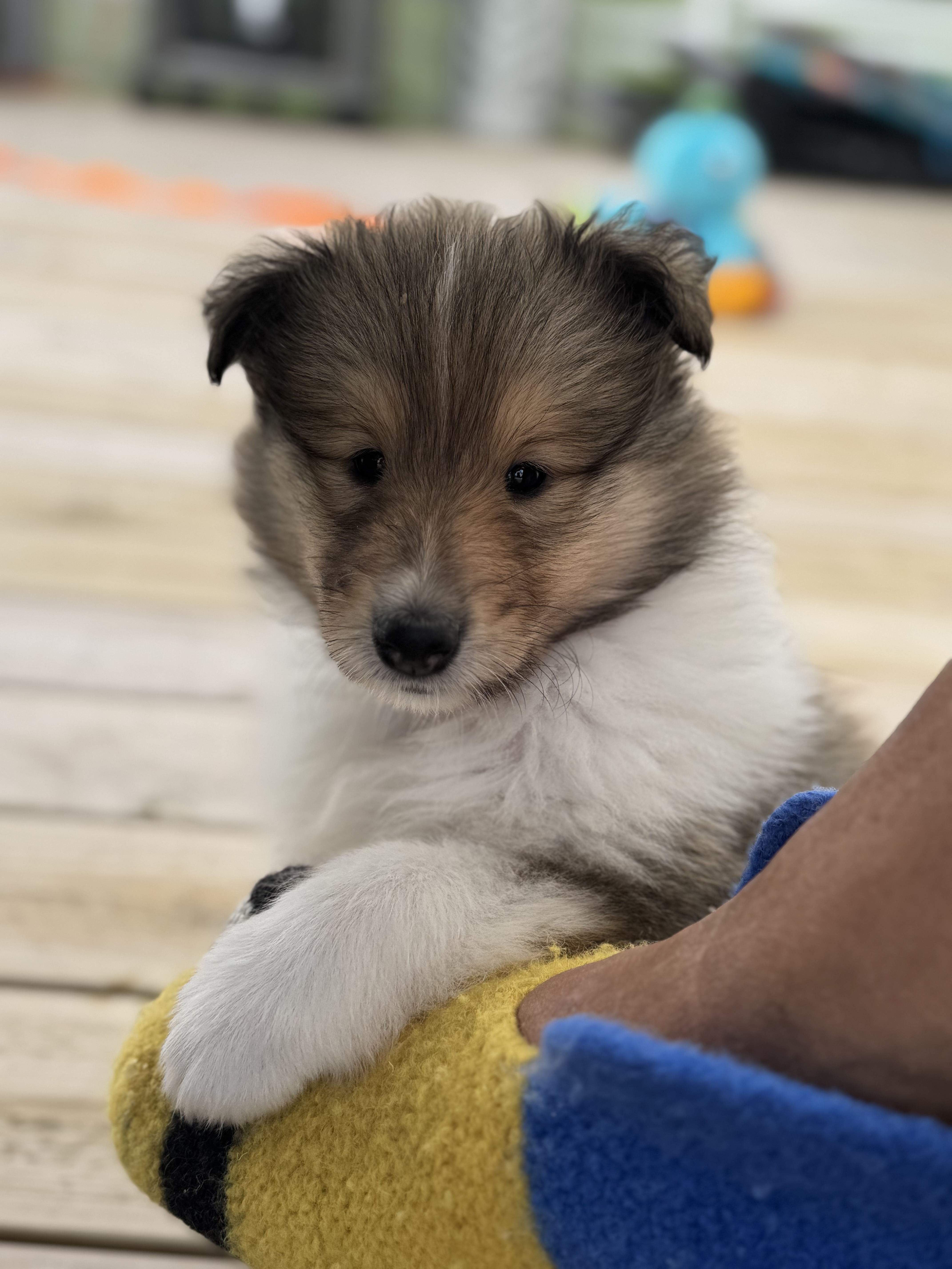 BeautyFluff A kind of magic