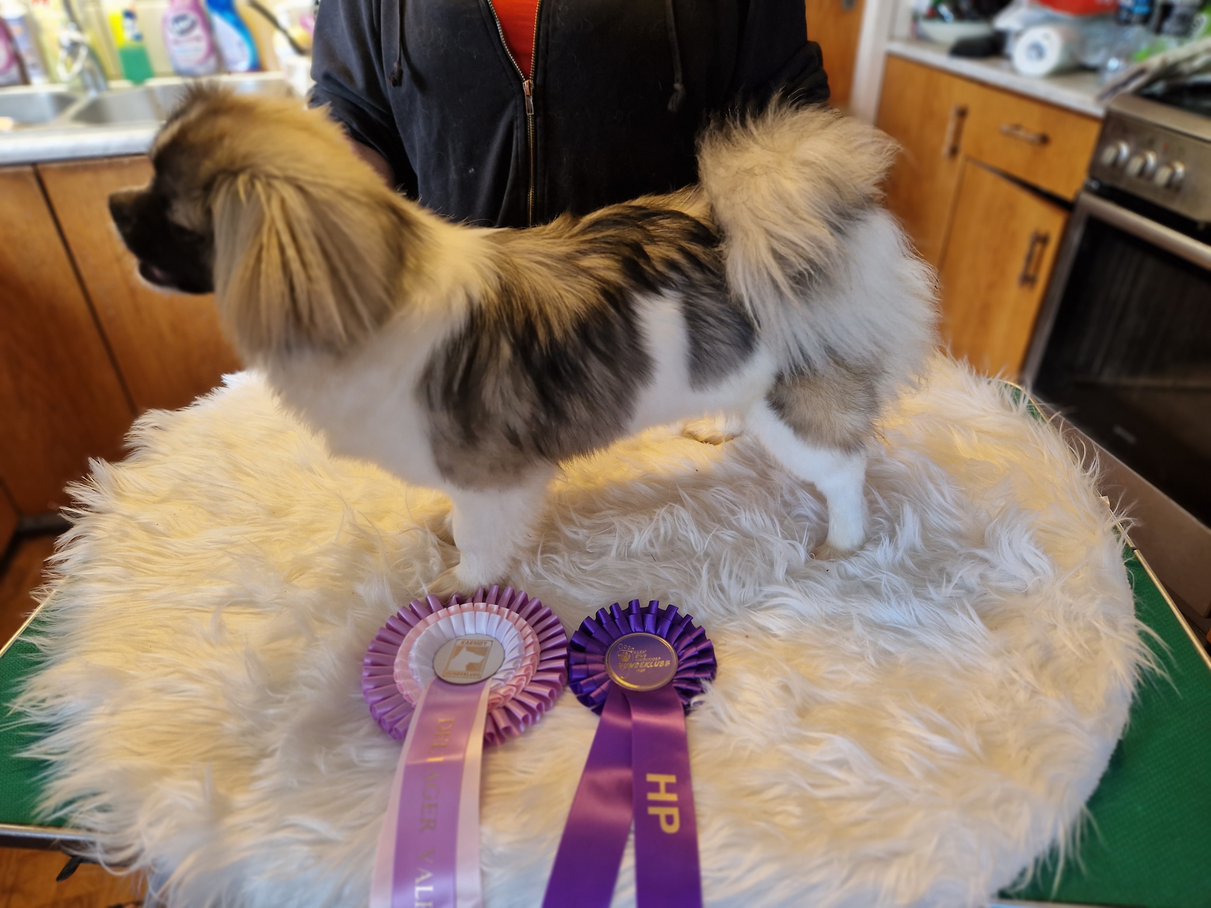 Supertib's Tequila Sunrise Supertib's Tequila Sunrise