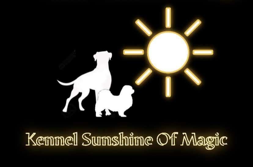 Sunshine Of Magic Sunshine Of Magic