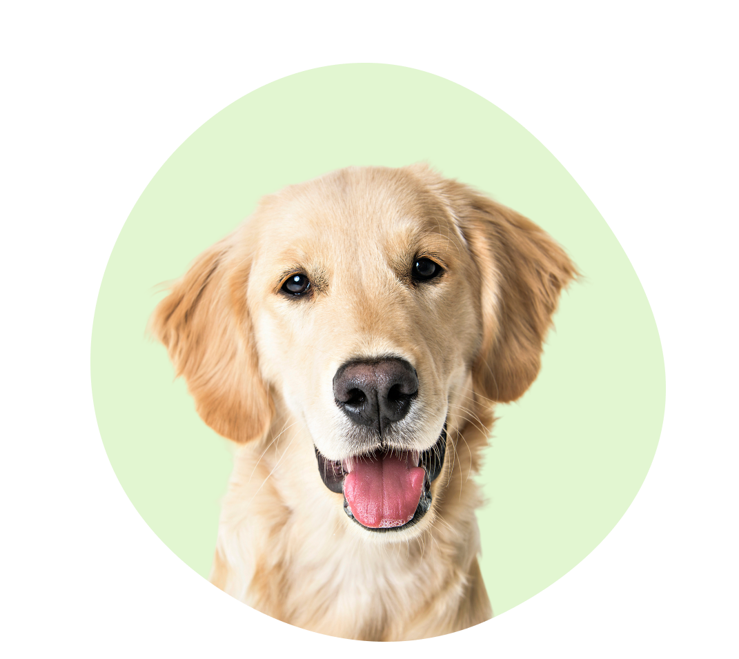 Lurer du på hvordan ventelisten fungerer?