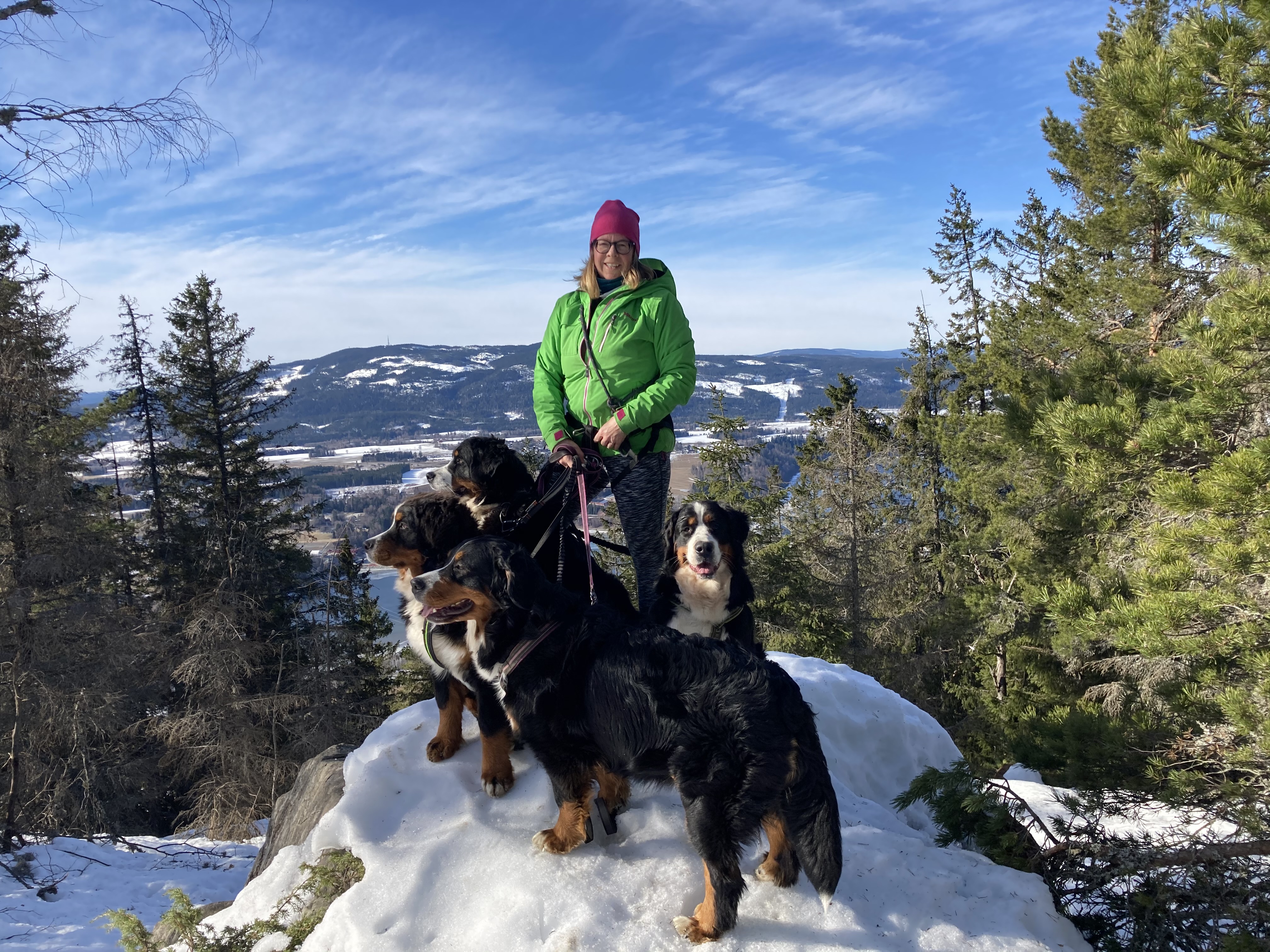 Kjersti Olsen Kjersti Olsen