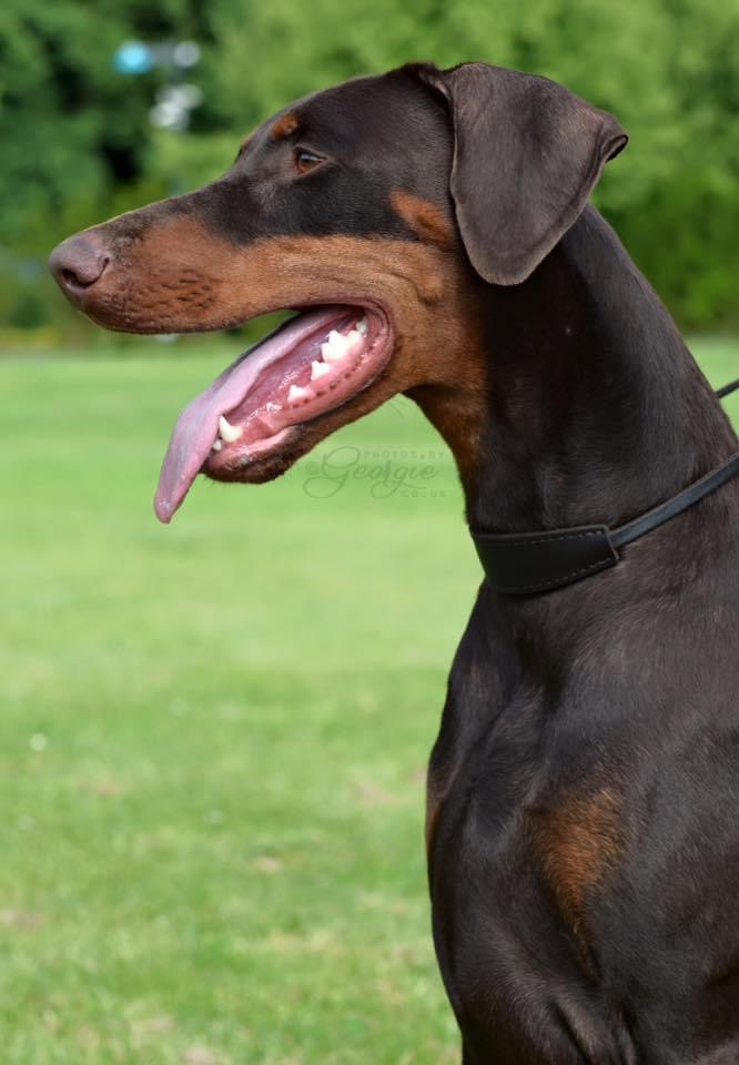 Newfords Keep Talking Newfords Keep Talking