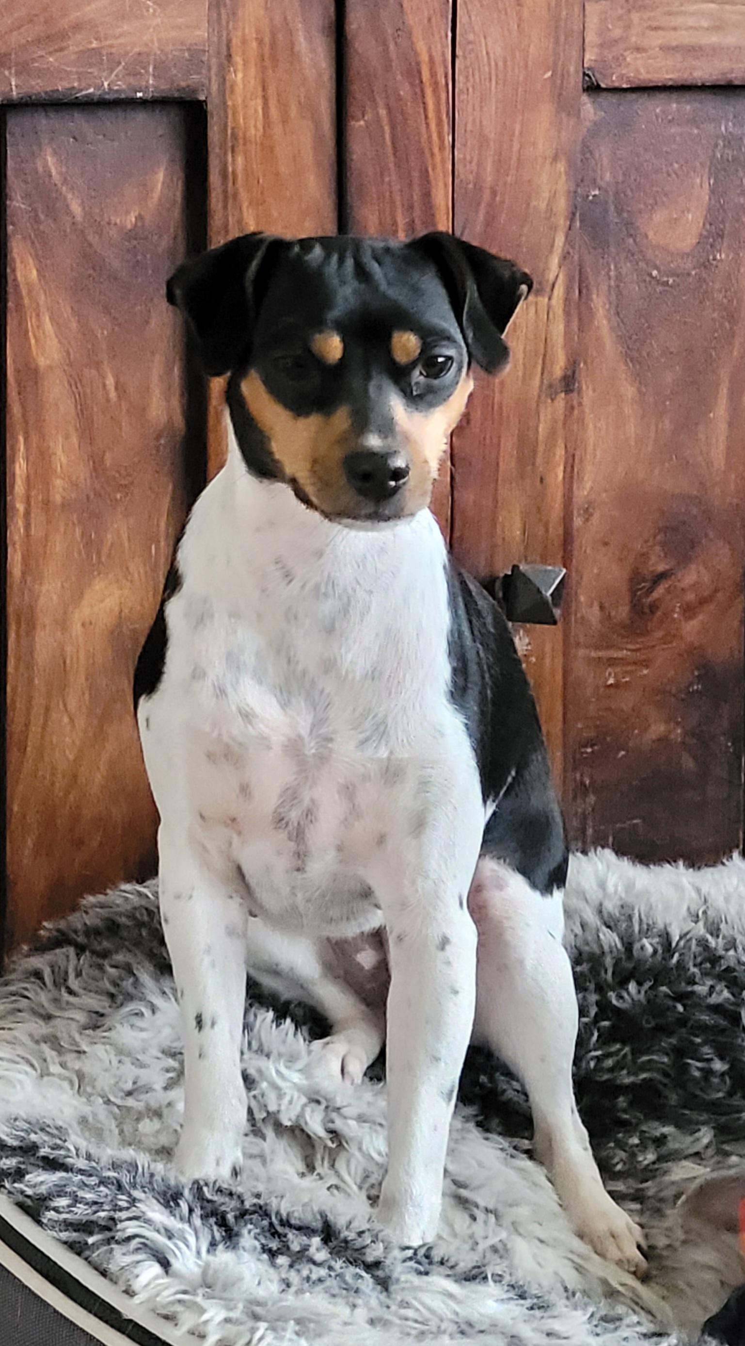 Espetveit's Happy Everest by Ana/Bjørk Espetveit's Happy Everest by Ana/Bjørk