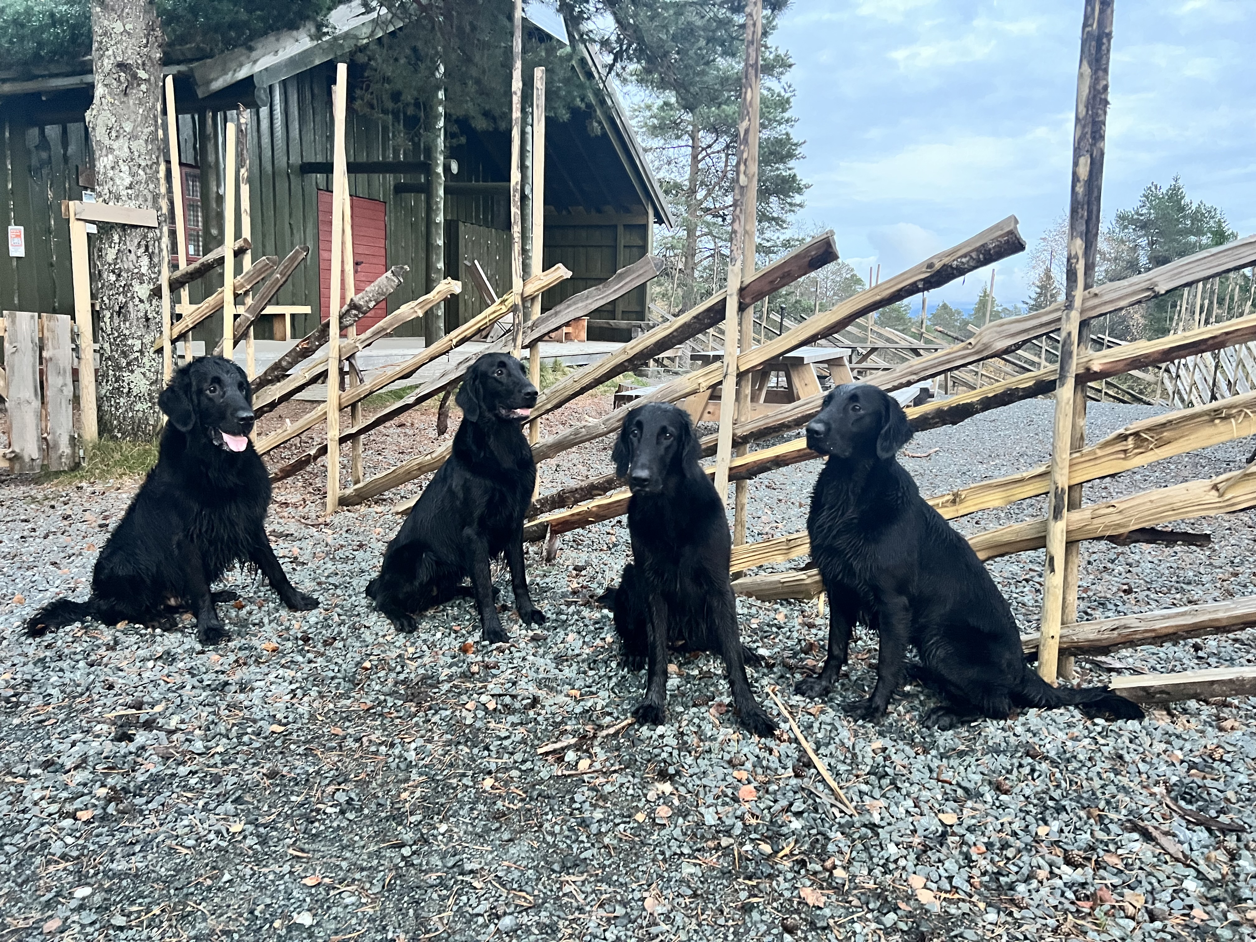 Guri Aarstein Johnsen Guri Aarstein Johnsen