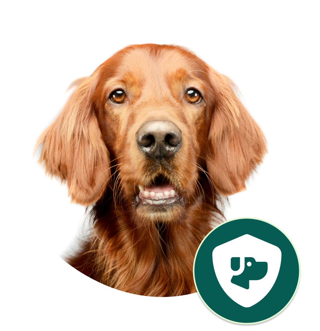 Eksklusive fordeler for oppdrettere