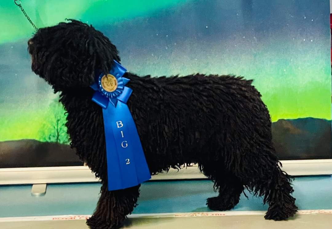 Ferrylands Imagine Ferrylands Imagine