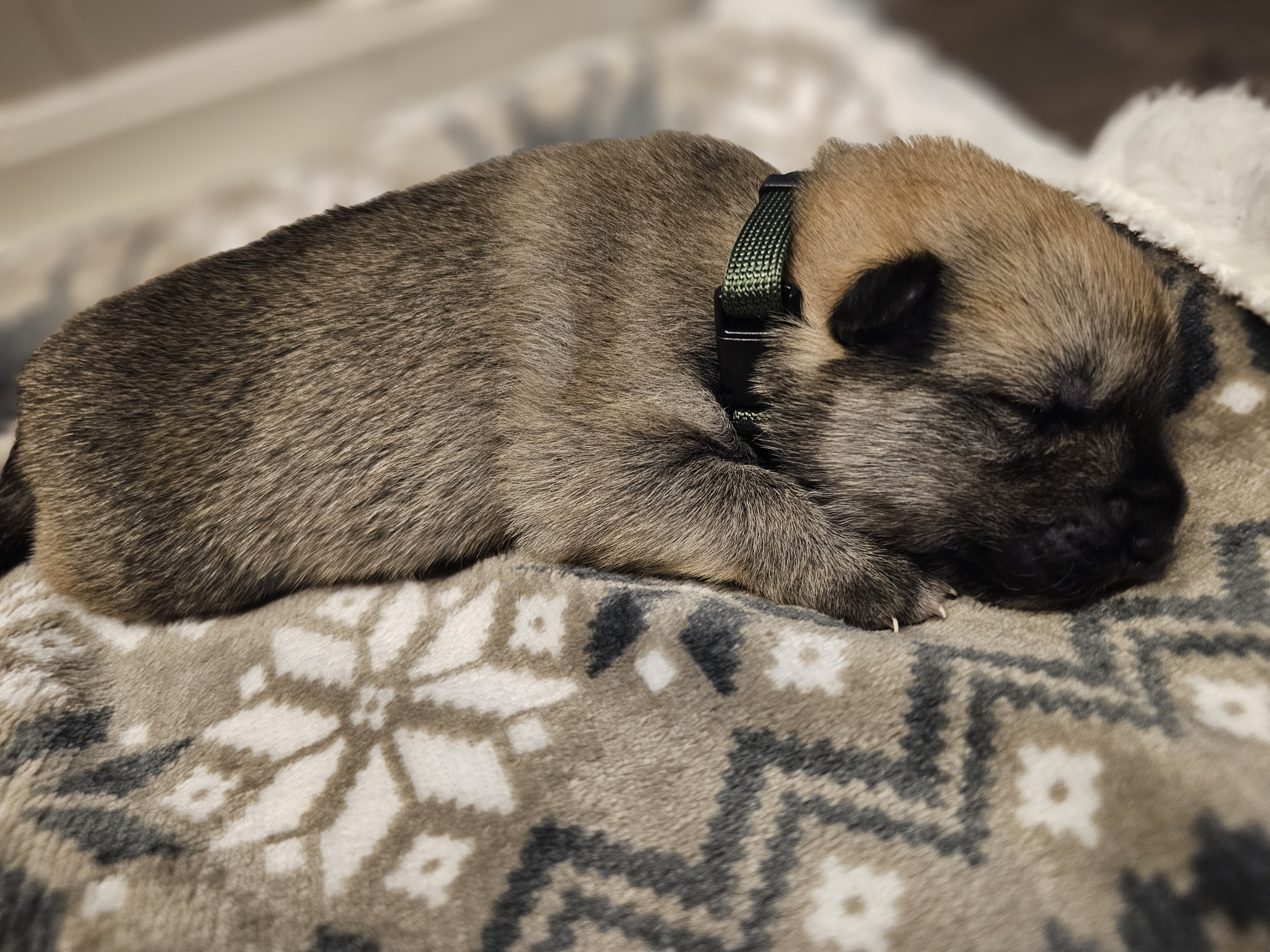 Dynamic image Dynamic image