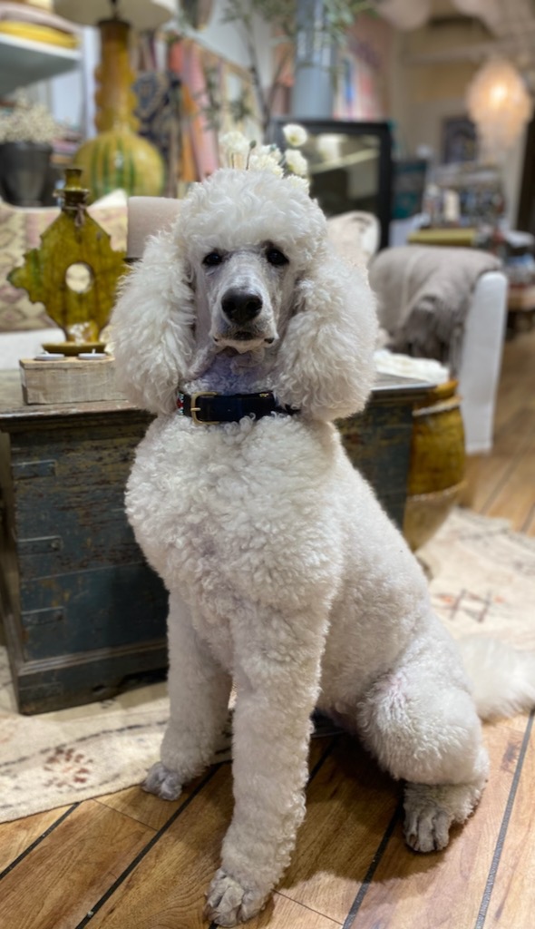 Skippervold Skippervold