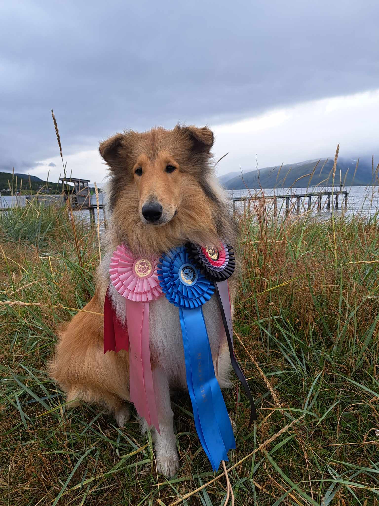 Kidevias Butch Cassidy Kidevias Butch Cassidy