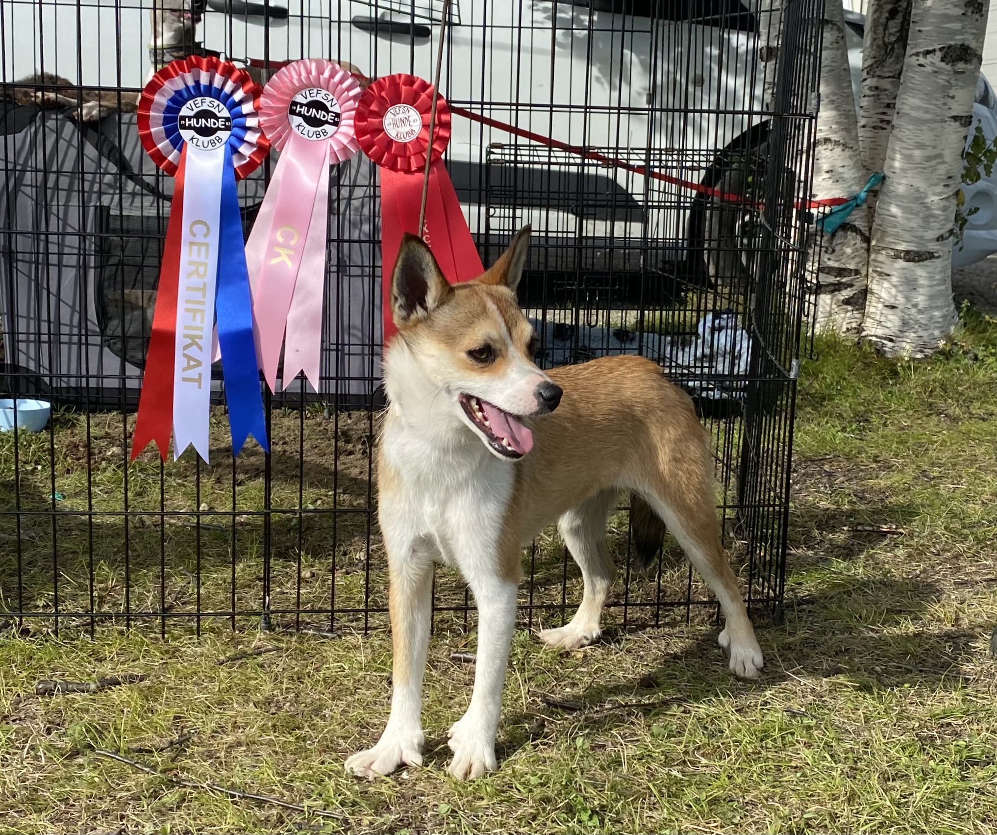 Mila Moja Pippi Langstrømpe Mila Moja Pippi Langstrømpe