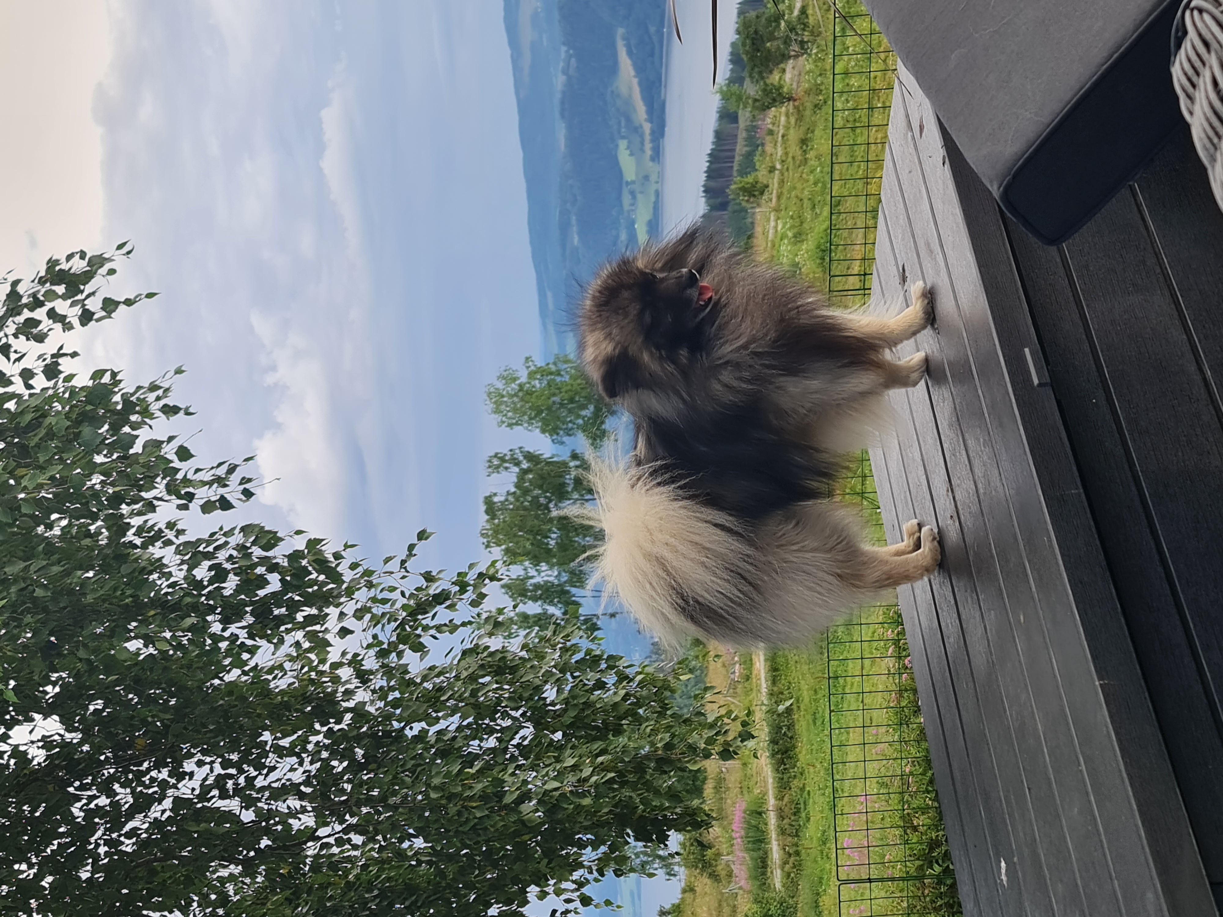 Haugertoppen's Echo of Akira Haugertoppen's Echo of Akira