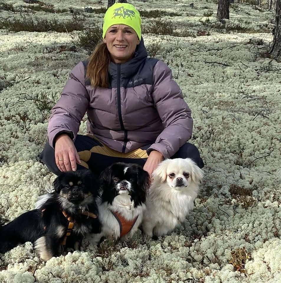 Elin Fosmo Scheie Elin Fosmo Scheie