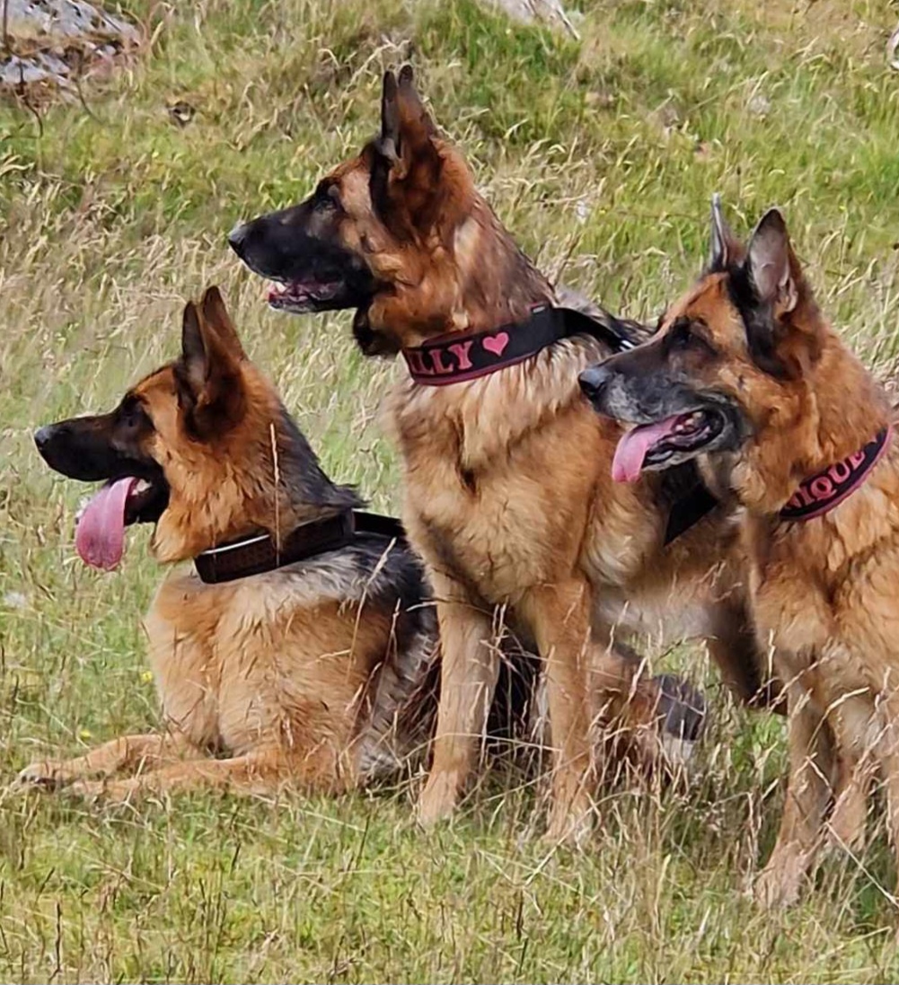 Siv Stokke Siv Stokke