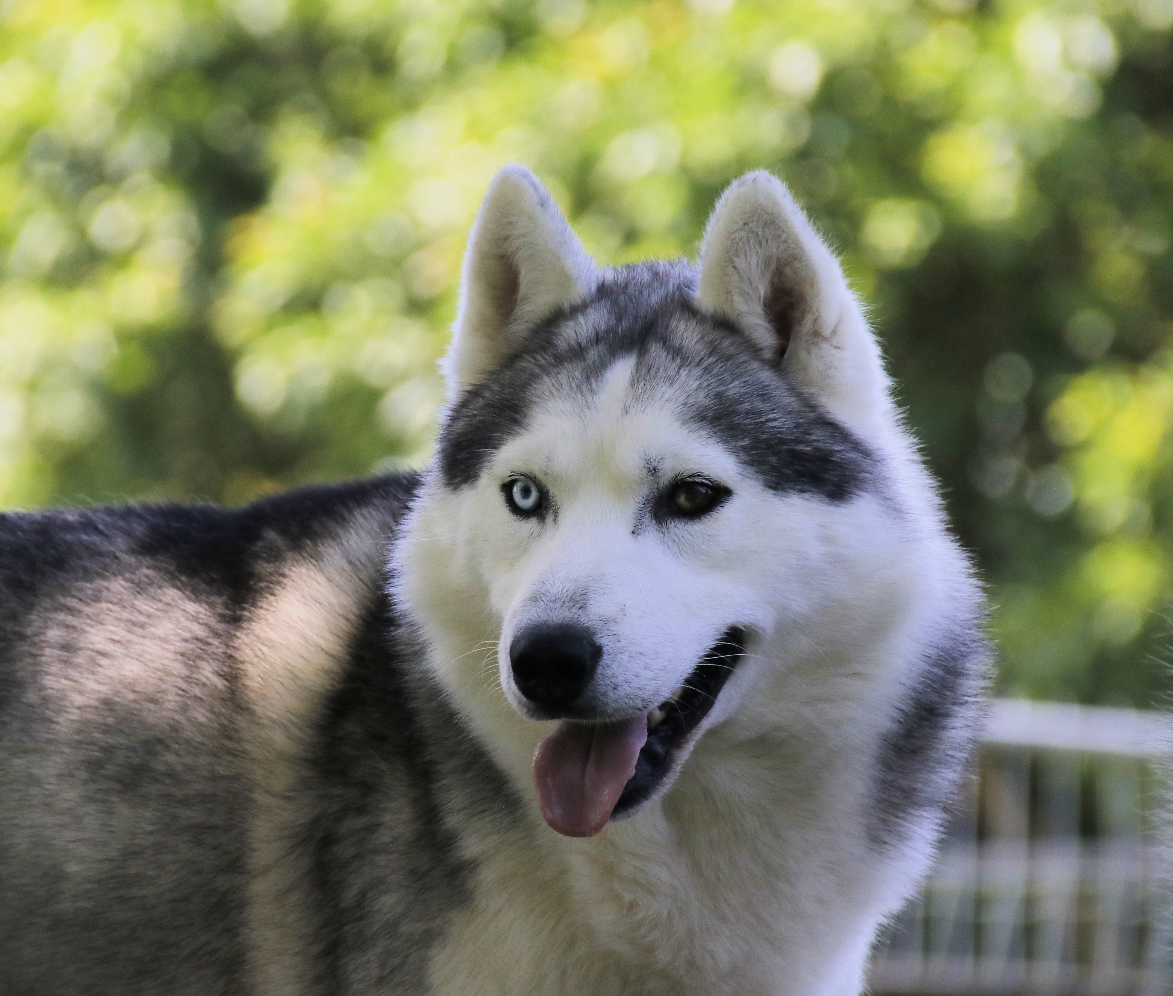 Taysa's Zero Smoke Lots of Ash Taysa's Zero Smoke Lots of Ash