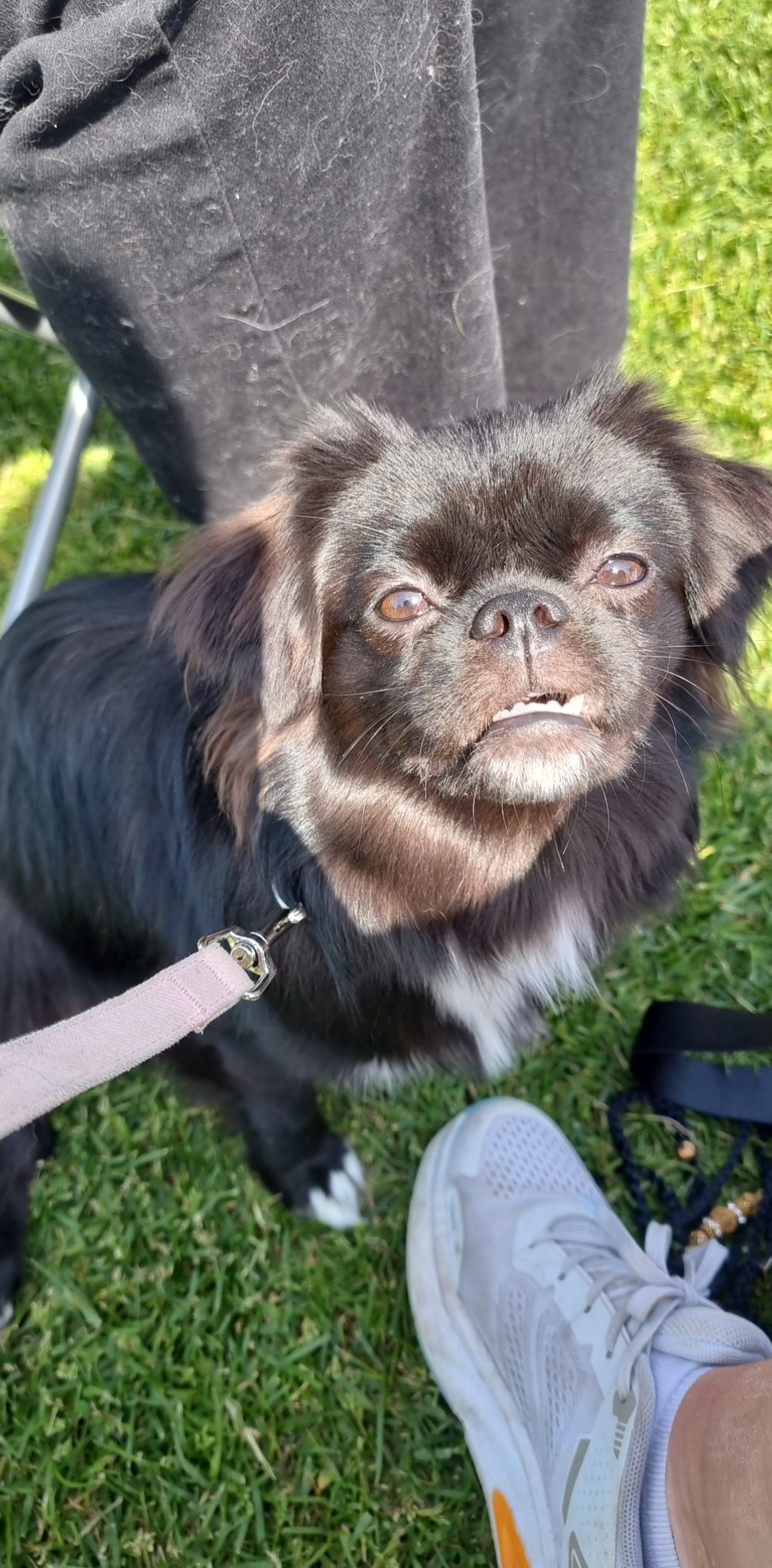 X-cirius majka X-cirius majka