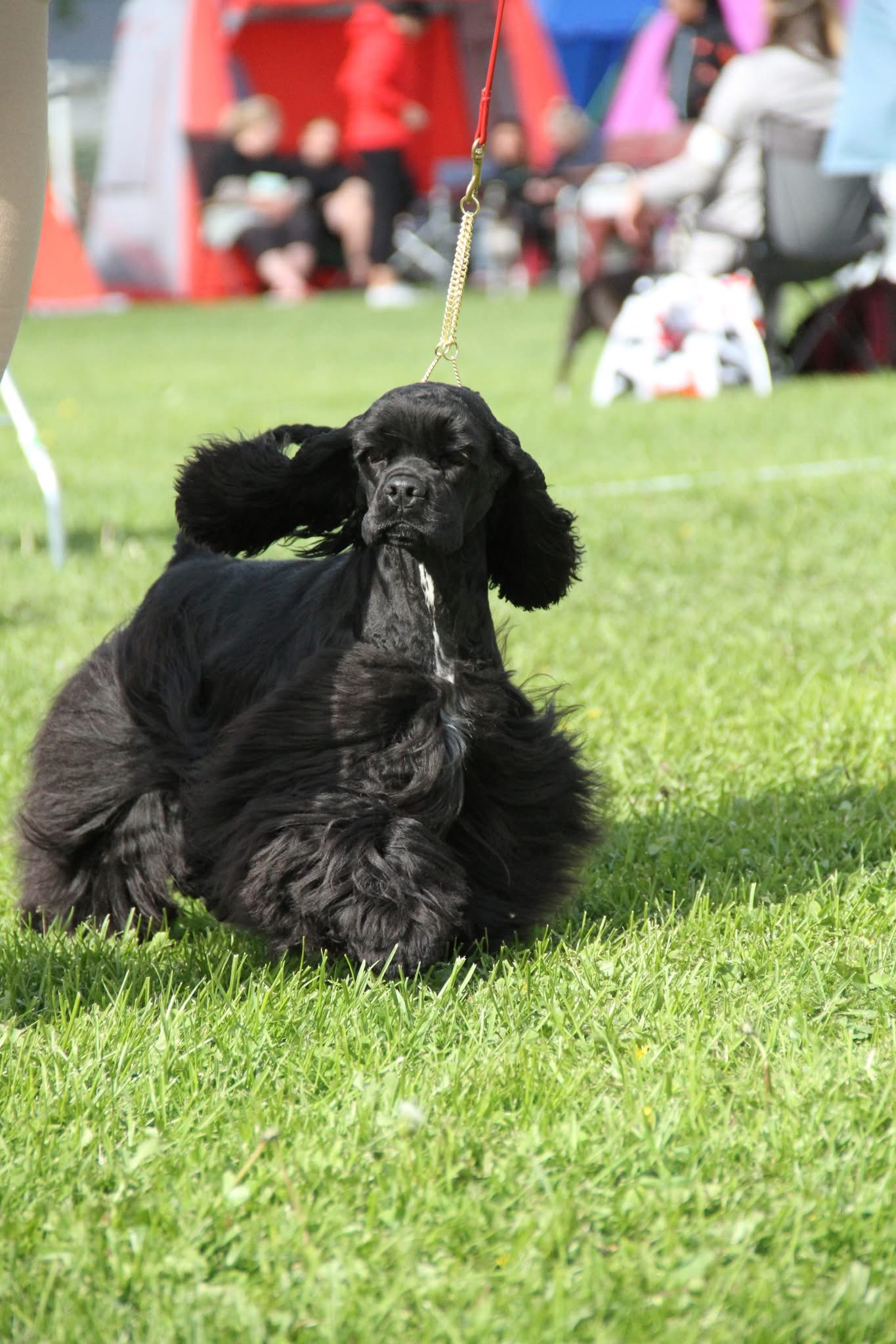 Gazette’s Good Girls are Black Gazette’s Good Girls are Black