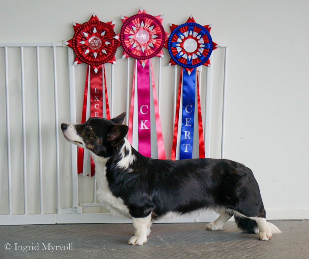 Jolizi’s MJ Better Then Ferrari Jolizi’s MJ Better Then Ferrari