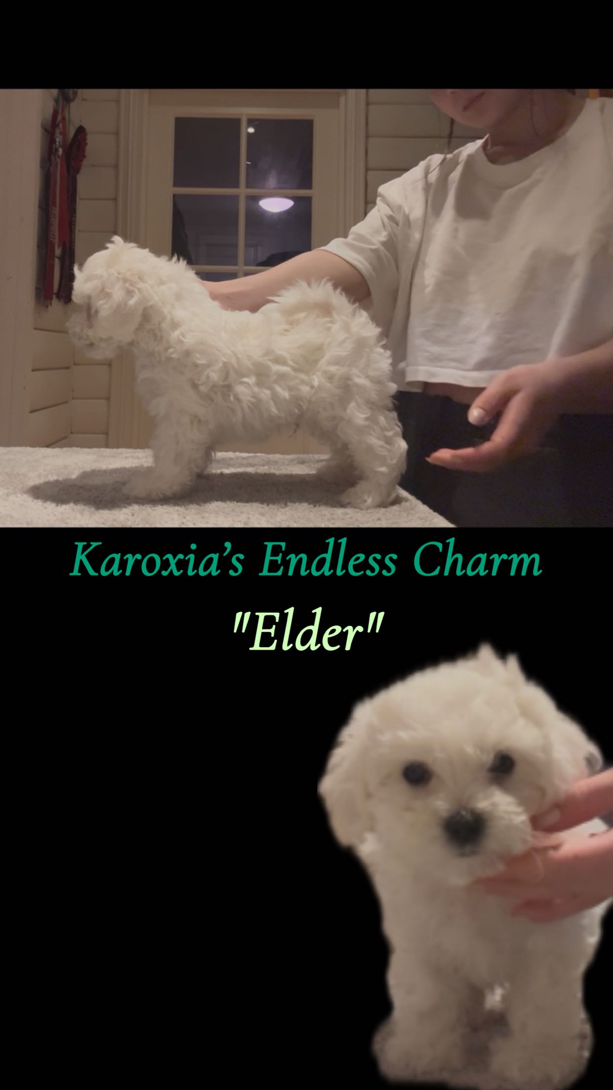 Karoxia Endless Charm "Elder" Karoxia Endless Charm "Elder"